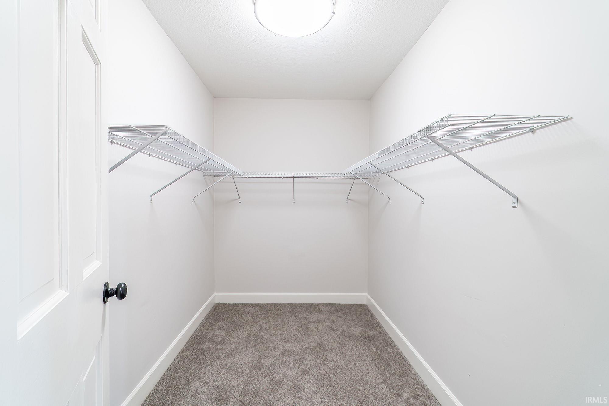 Walk in closet featuring light colored carpet
