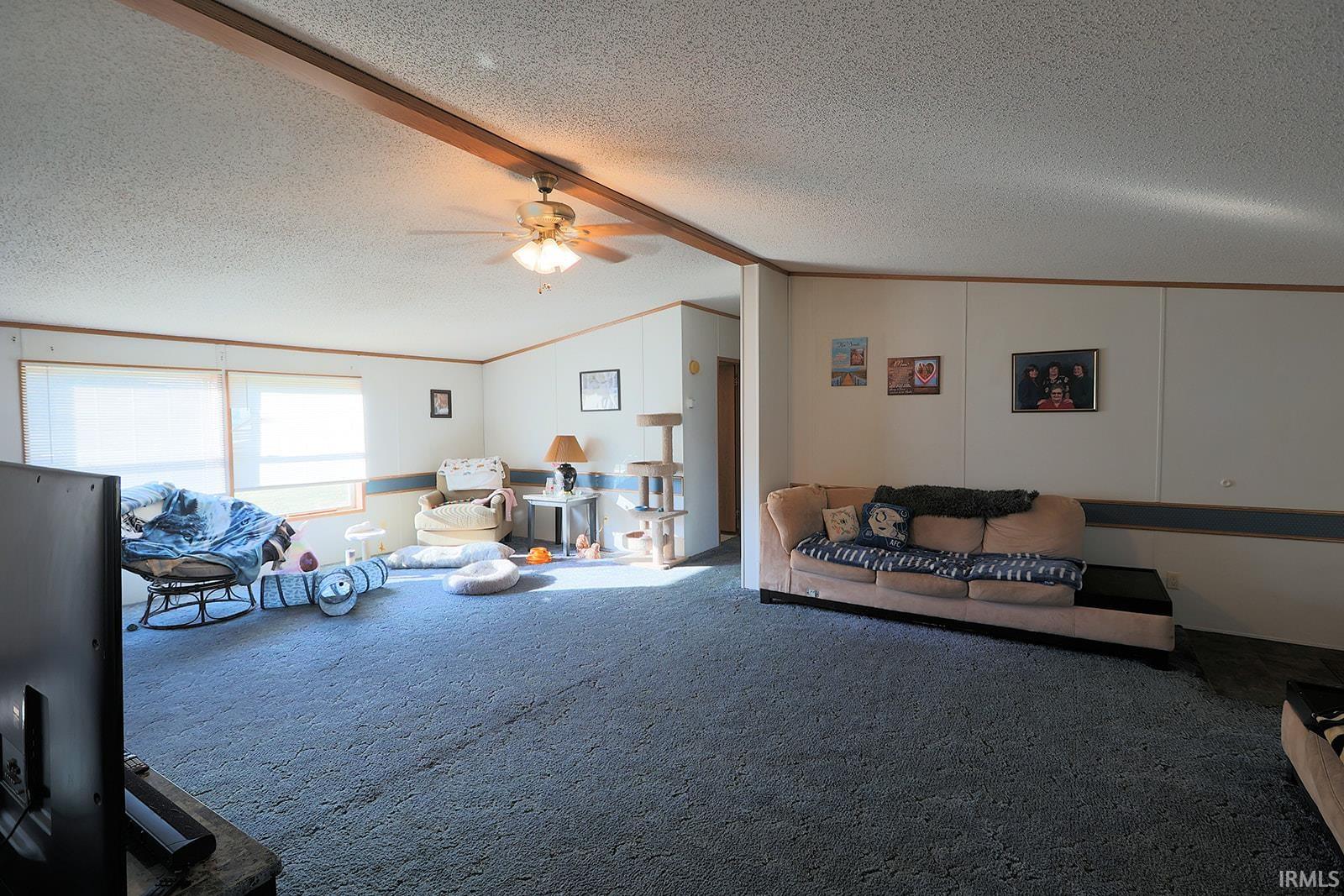 Living room featuring ceiling fan and carpet flooring
