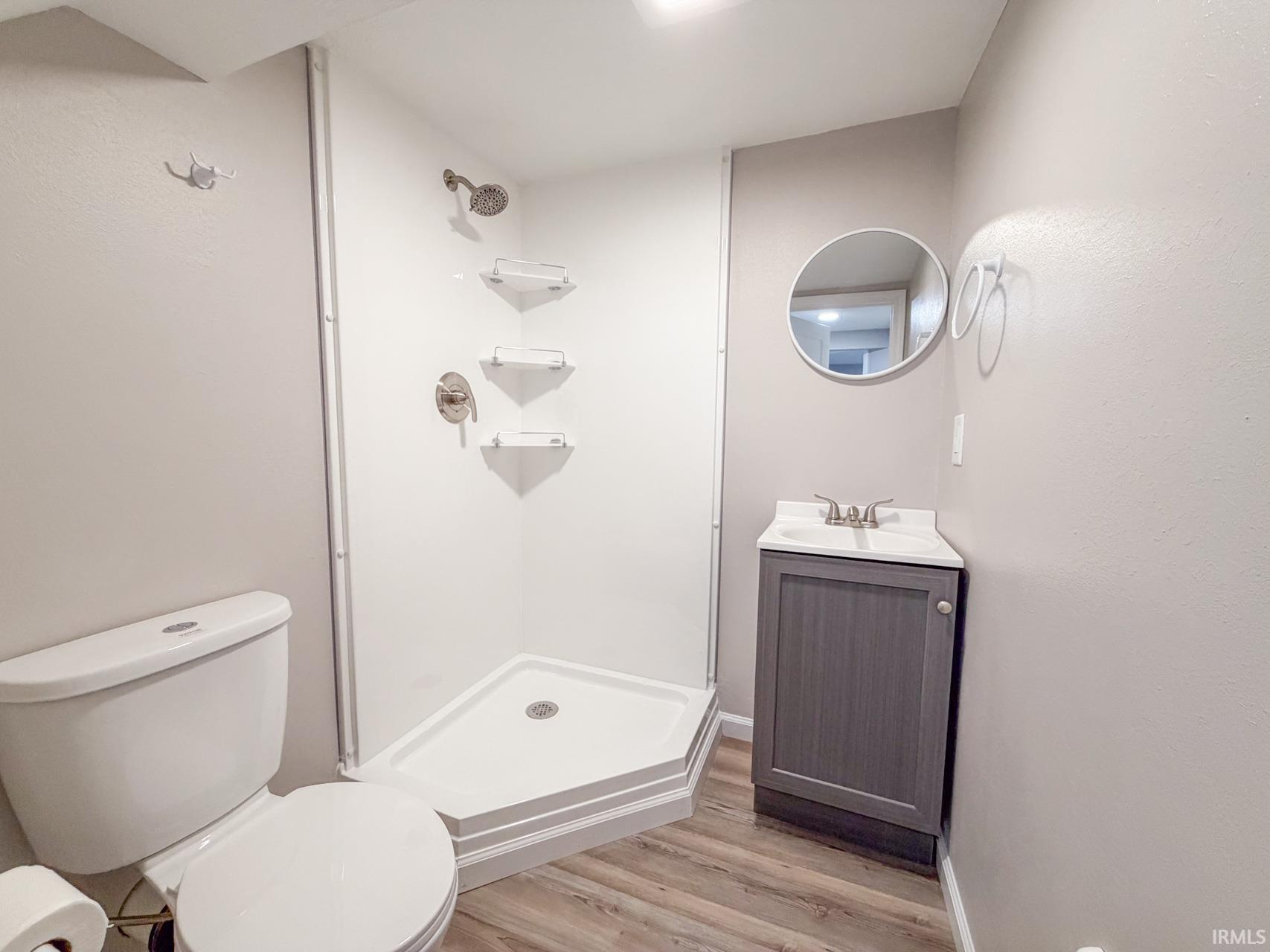 Lower Level Full bath featuring vanity, light wood-style floors, and a shower stall