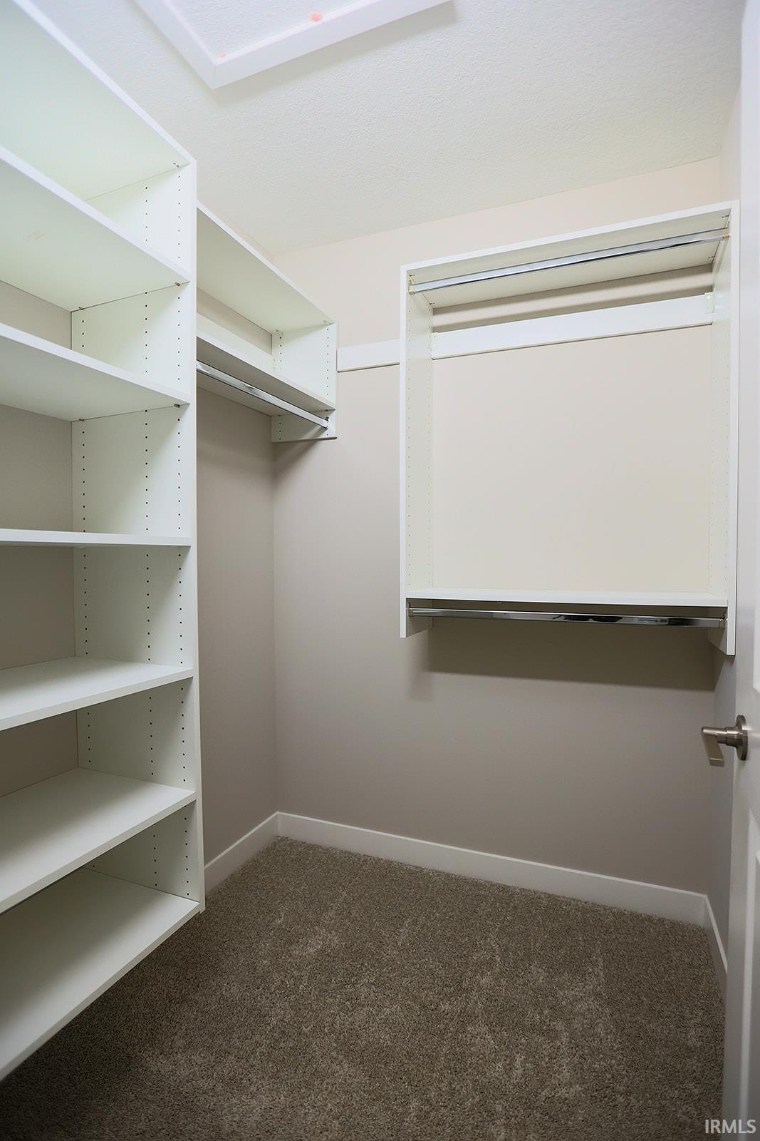 Walk in closet with dark colored carpet