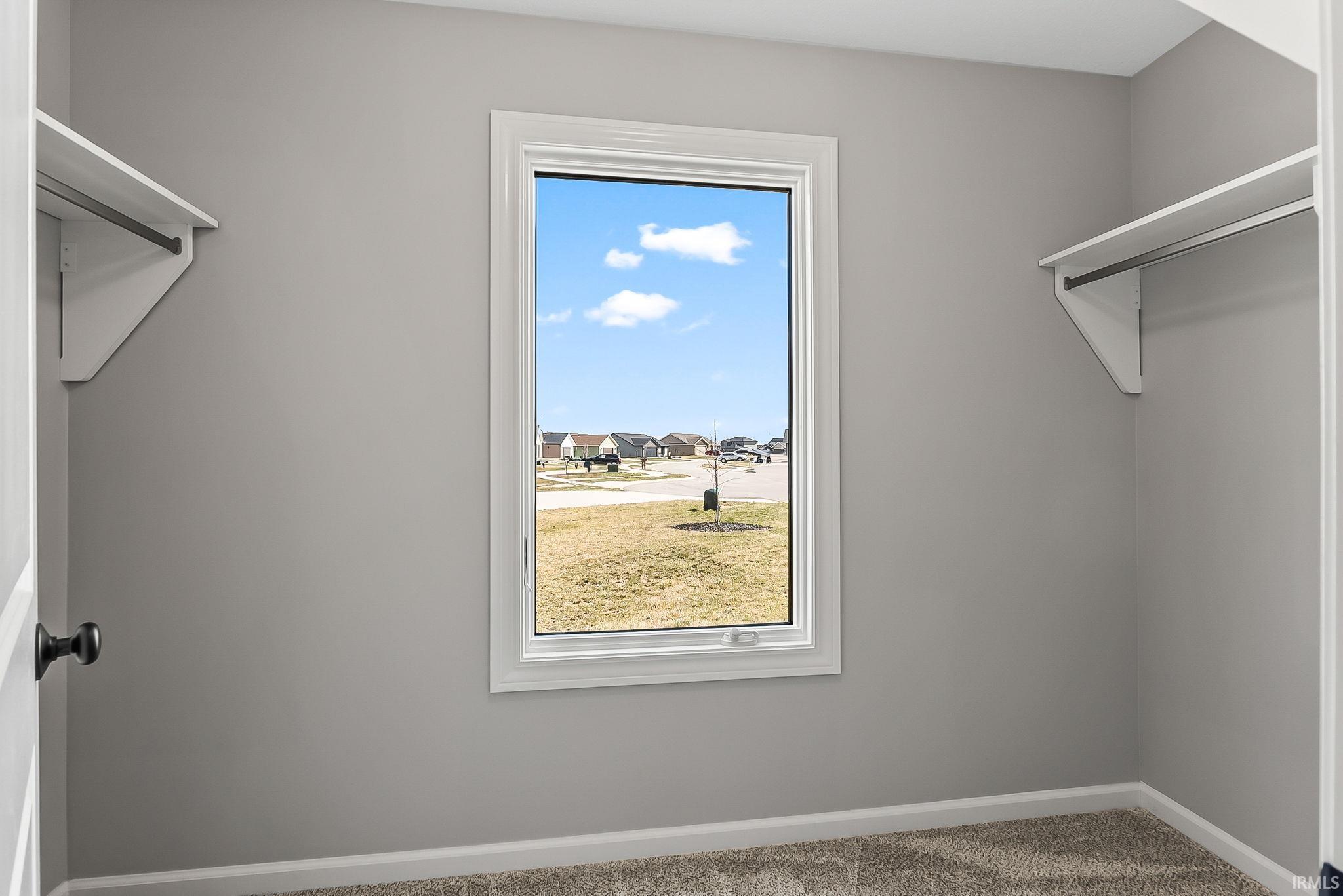 Walk in closet with carpet