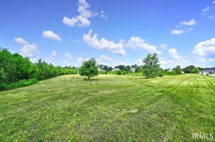 View of grassy yard