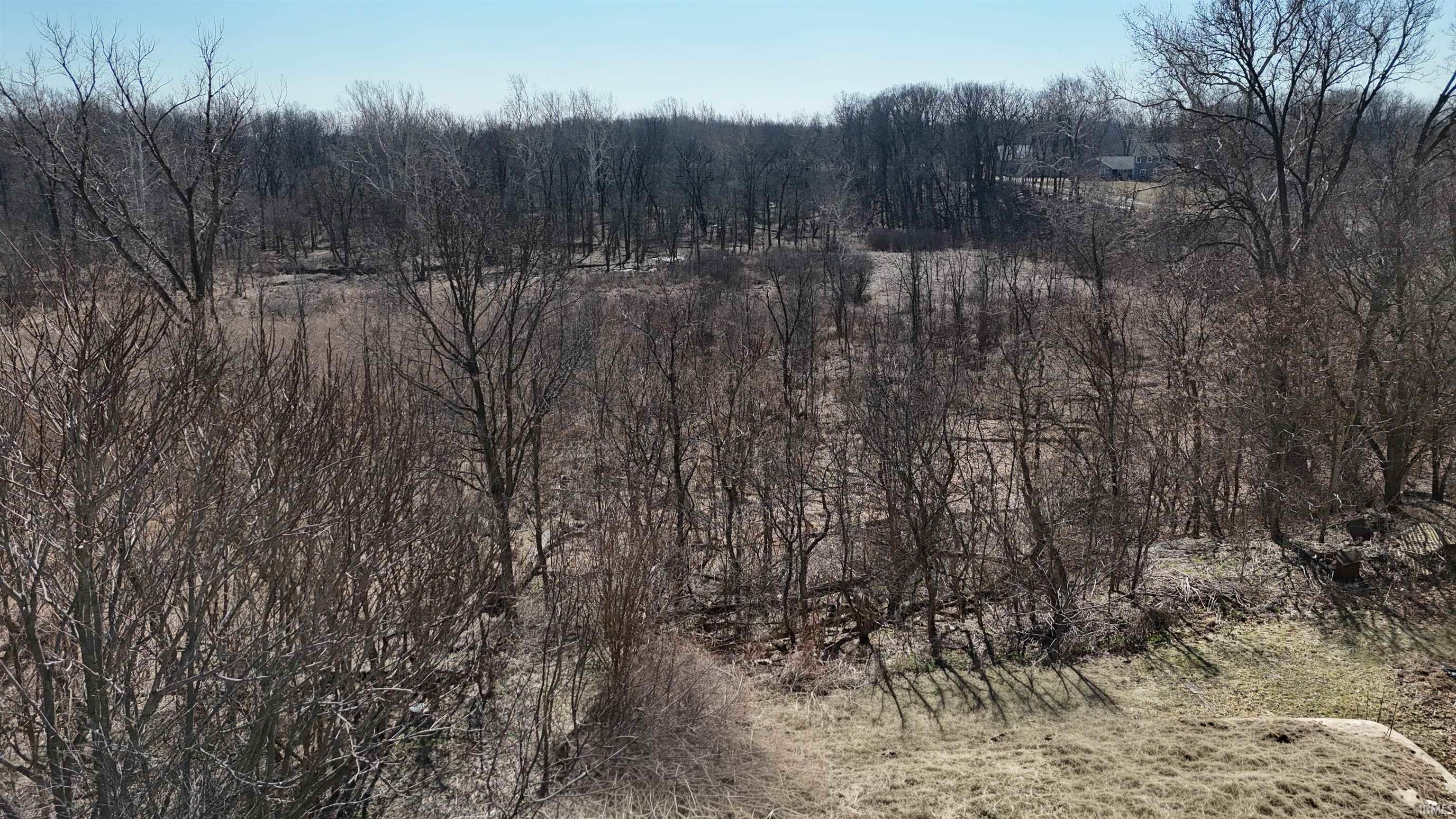 View of woods