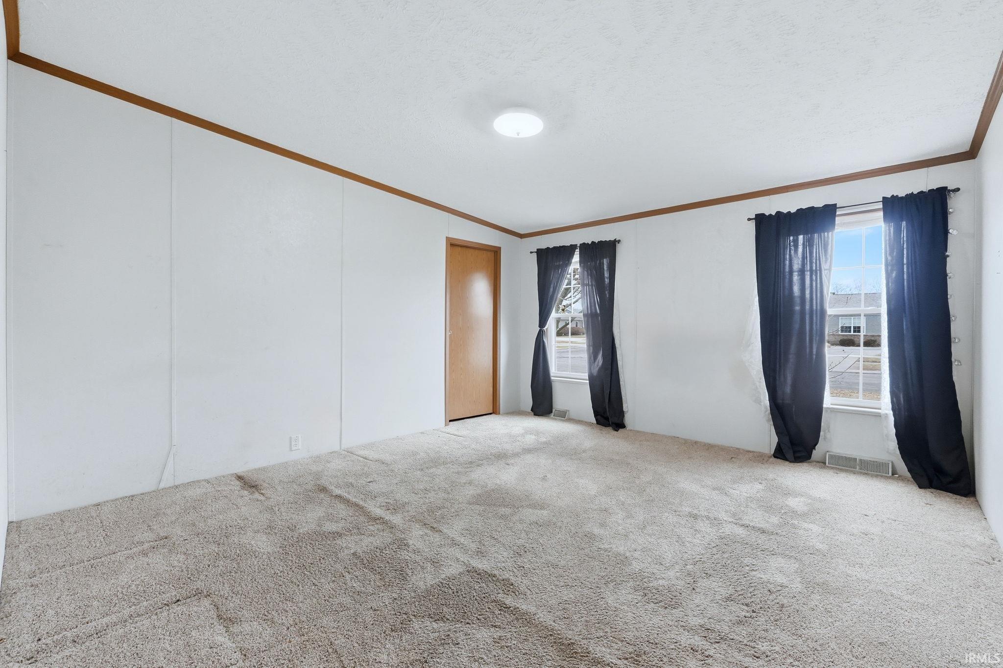 Empty room with carpet, crown molding, healthy amount of natural light, and a textured ceiling