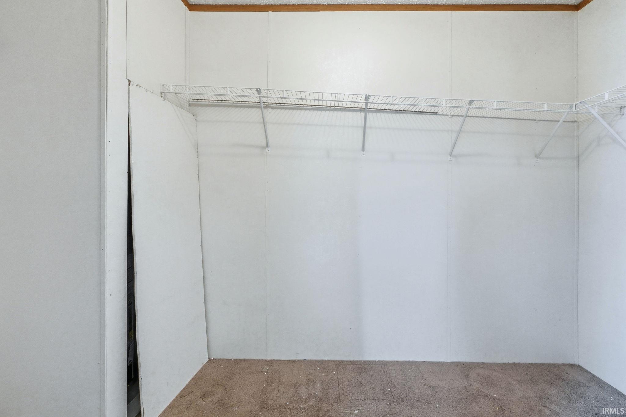 Walk in closet with carpet flooring