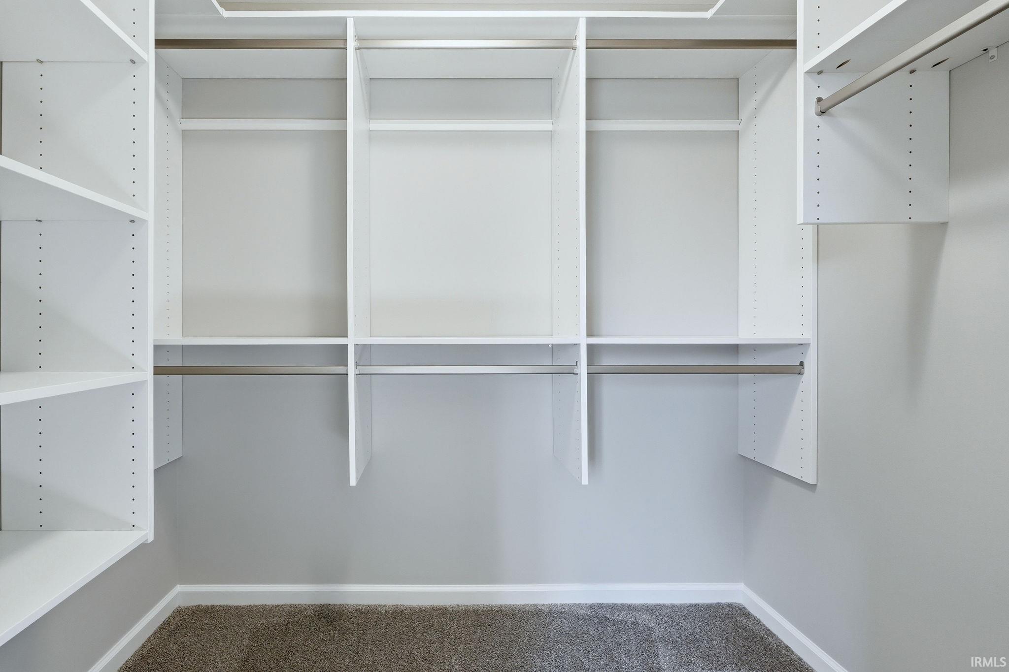 Walk in closet featuring carpet floors