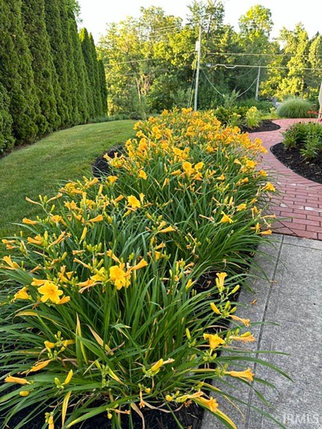 Photo 11 of 12015 Sycamore Lakes Court