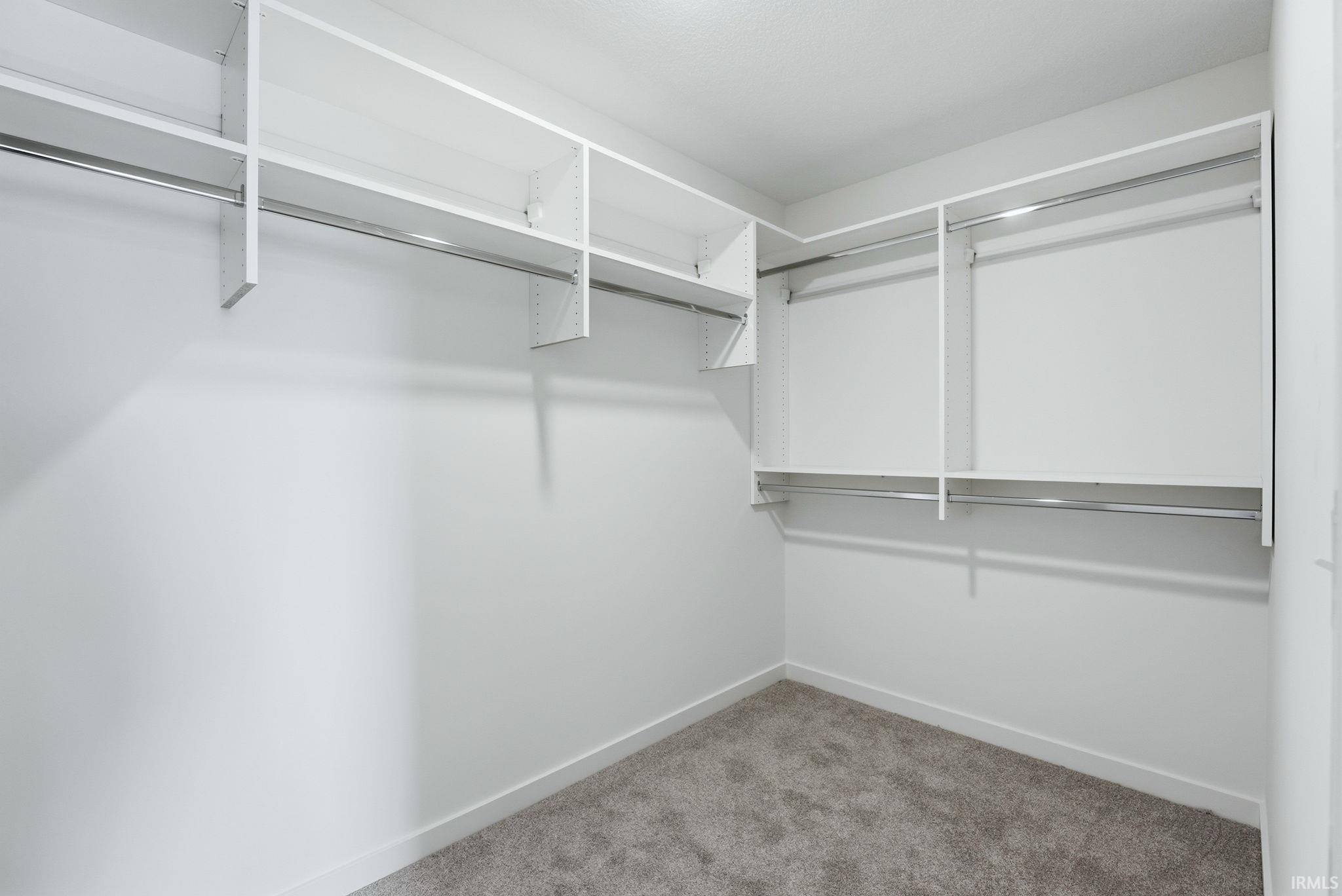 Walk in closet with light colored carpet