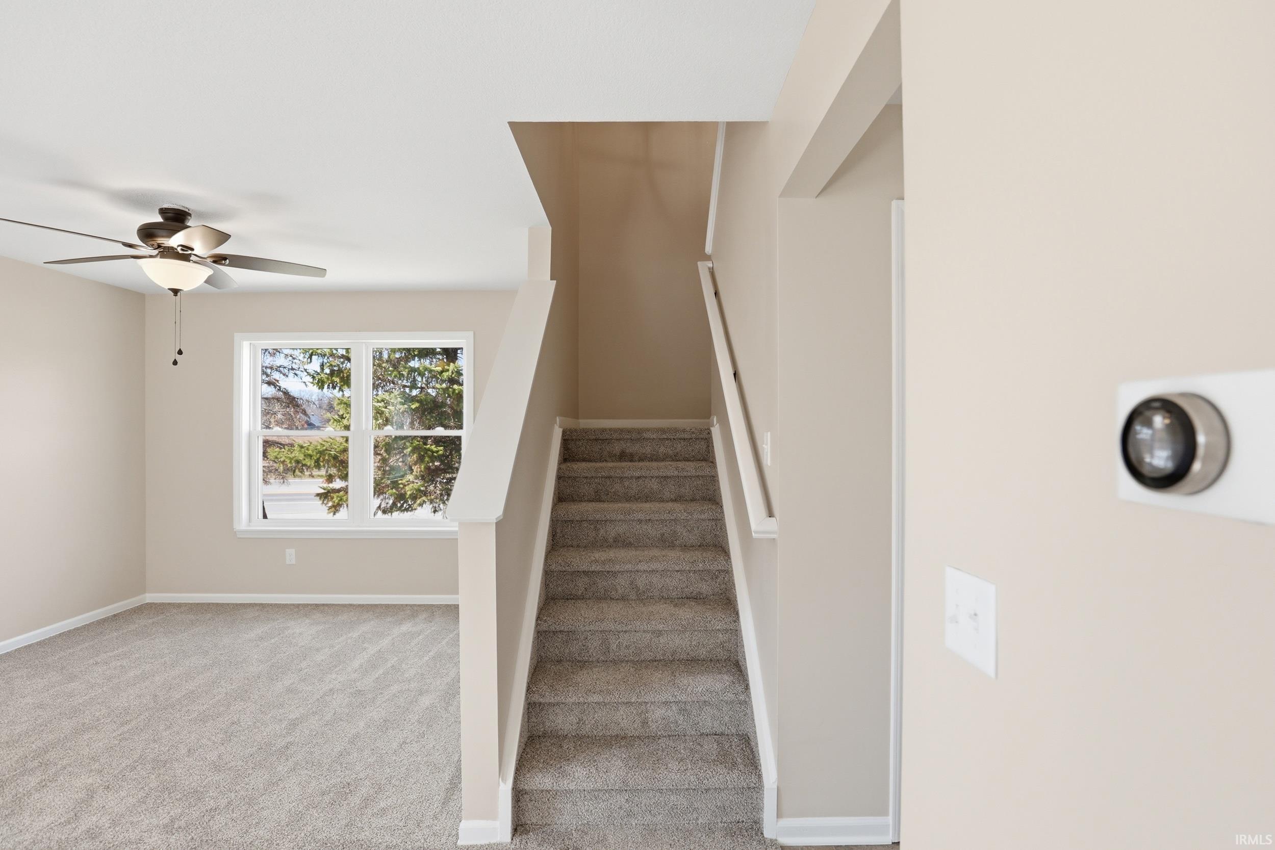 Staircase with a ceiling fan and carpet