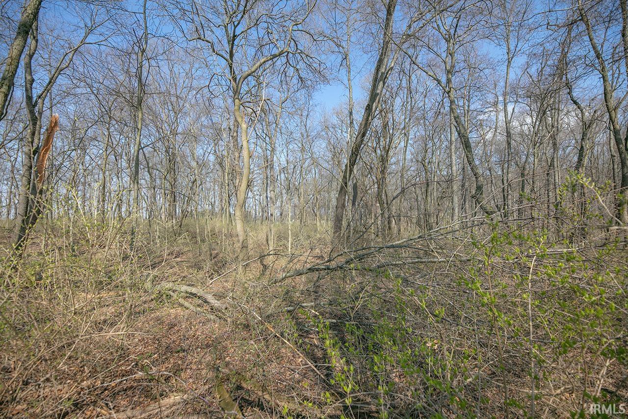 Photo 16 of VL County Road 127