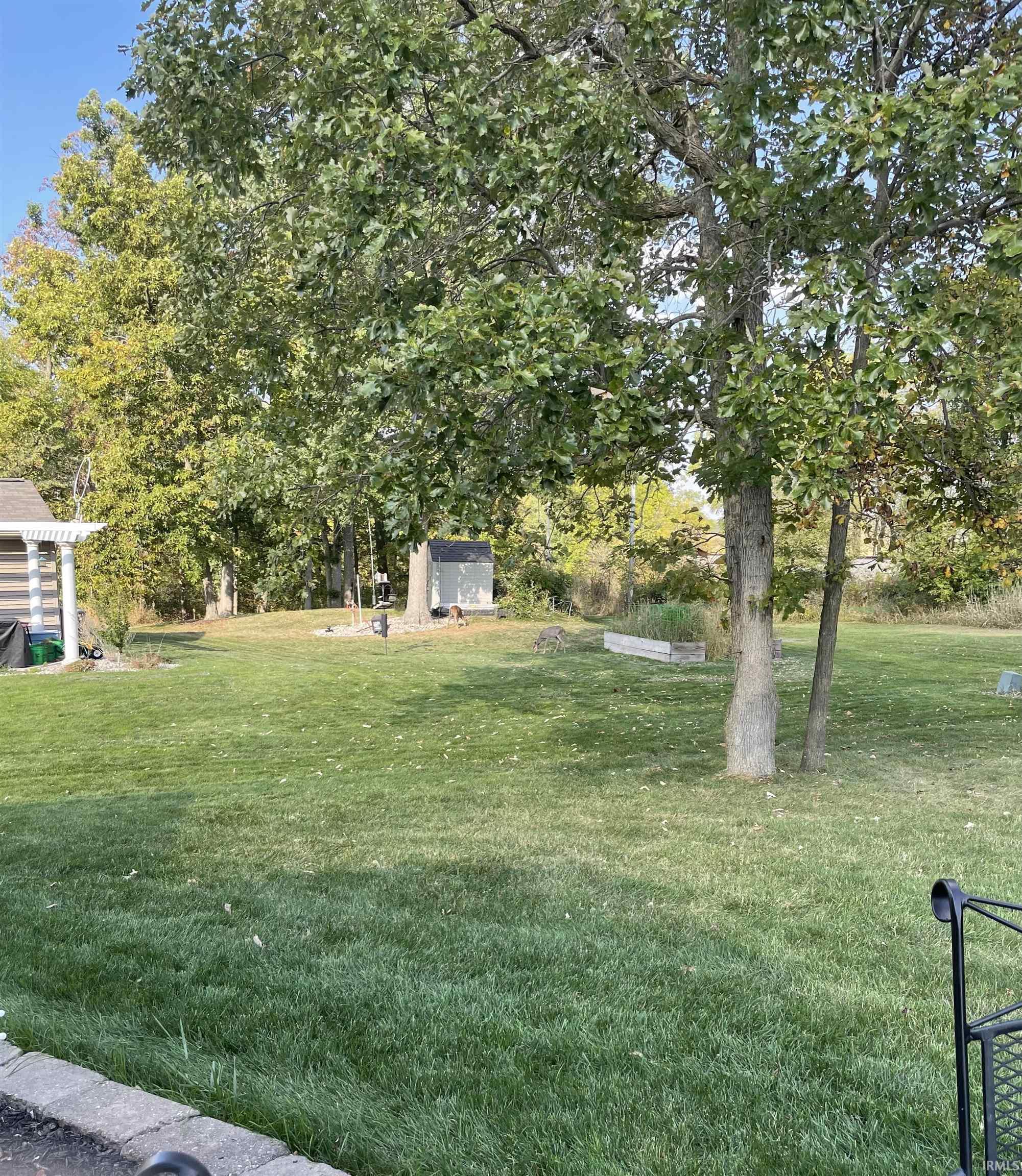 View of green lawn with a storage shed