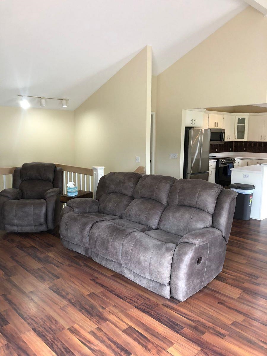 Living room featuring vaulted ceiling, dark wood-style flooring, and rail lighting