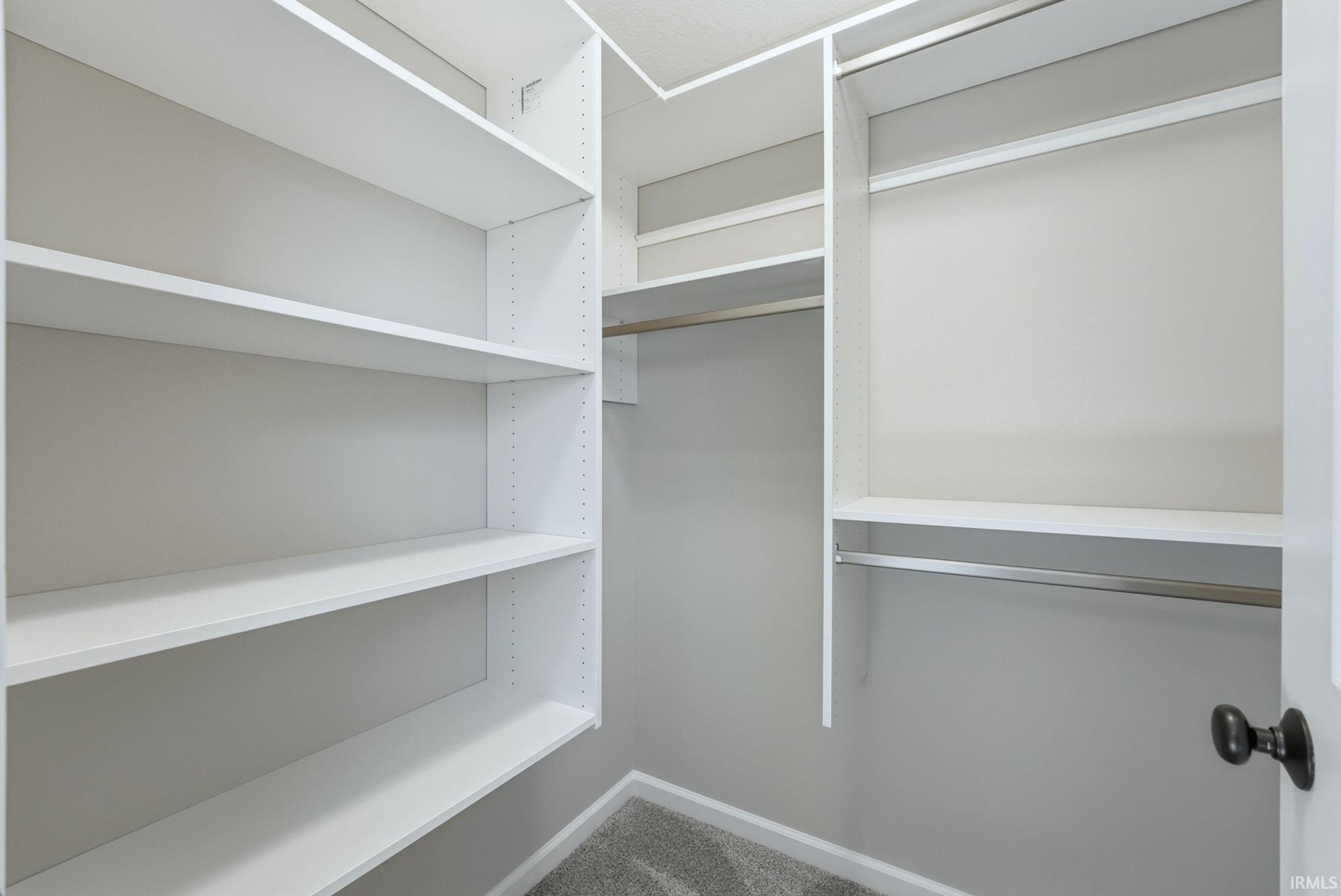 Walk in closet with carpet floors