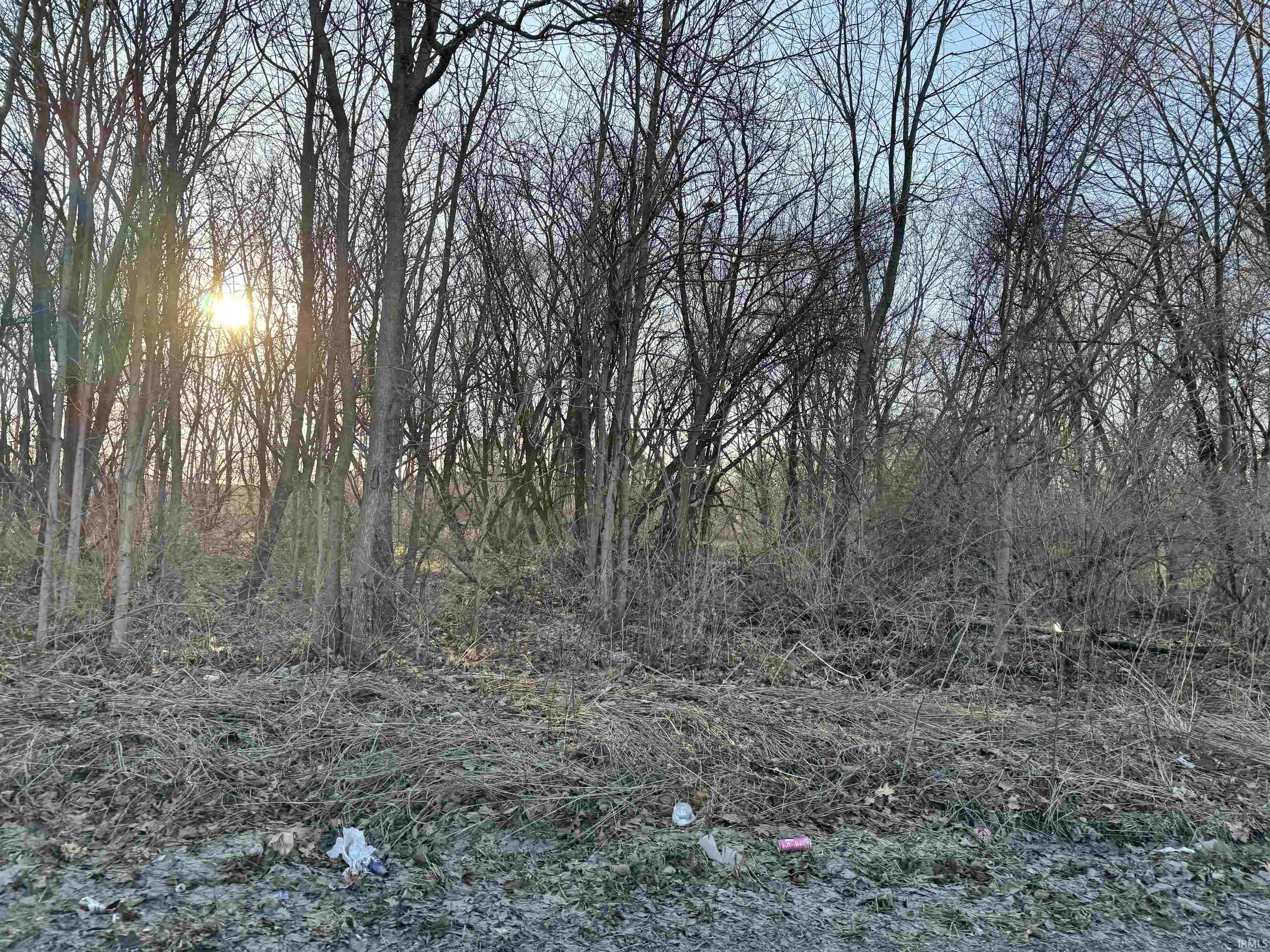 View of undeveloped land