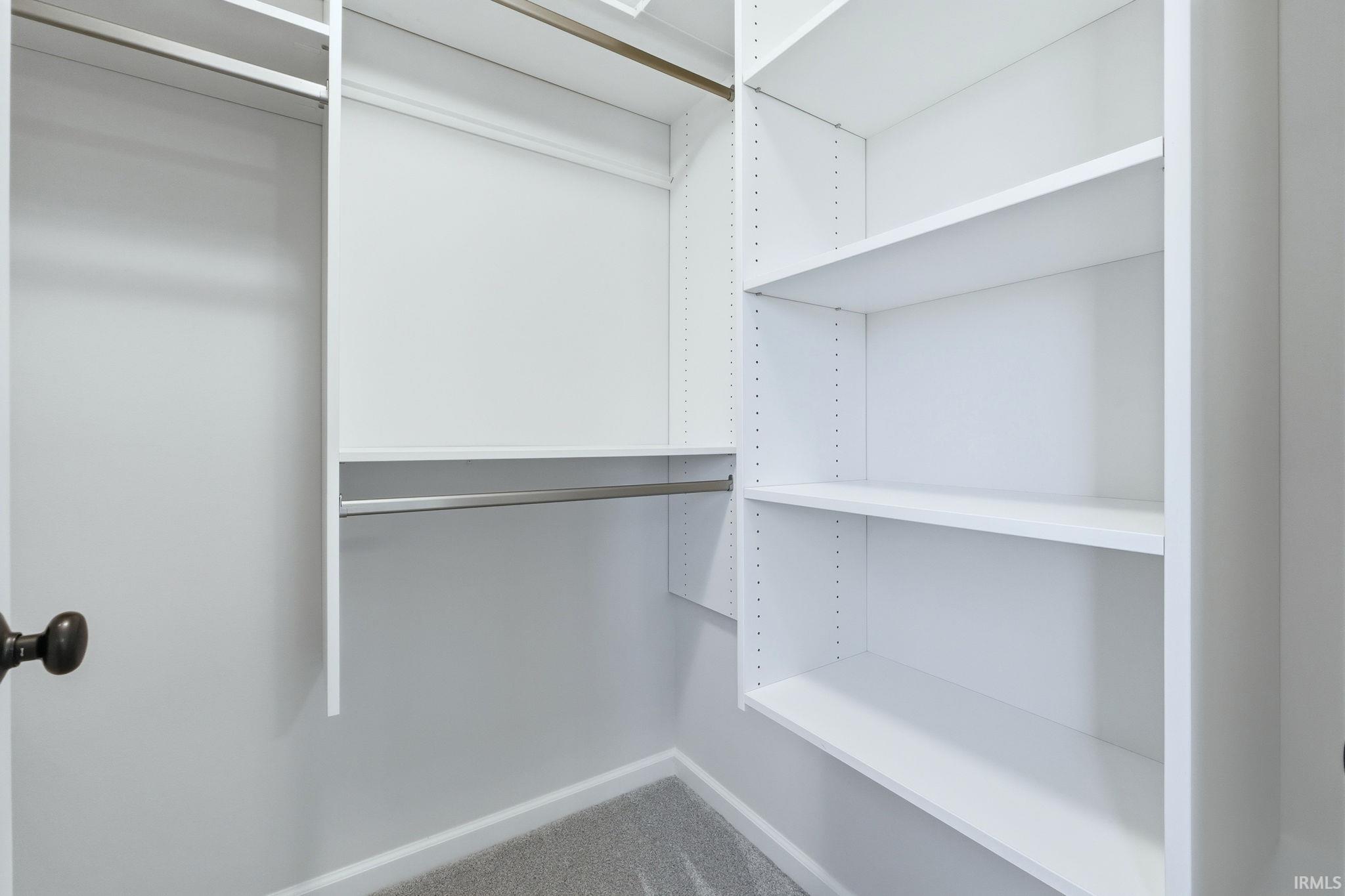Walk in closet featuring carpet flooring