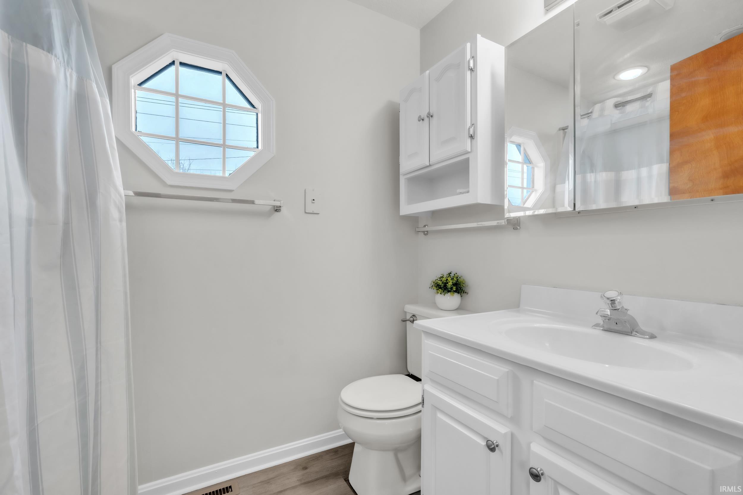 Full bathroom featuring vanity, dark wood-type flooring, and a shower with shower curtain
