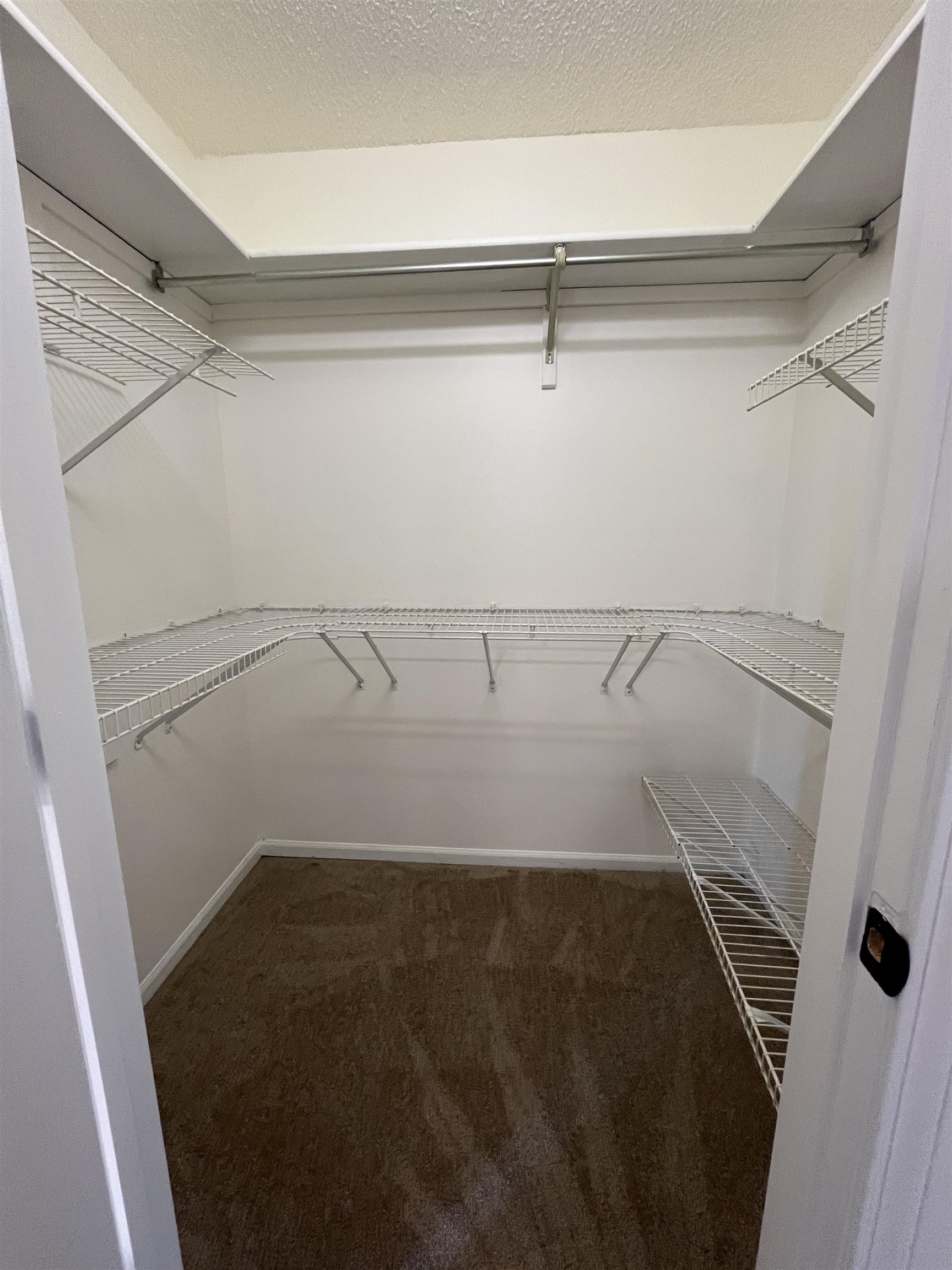Walk in closet with dark carpet