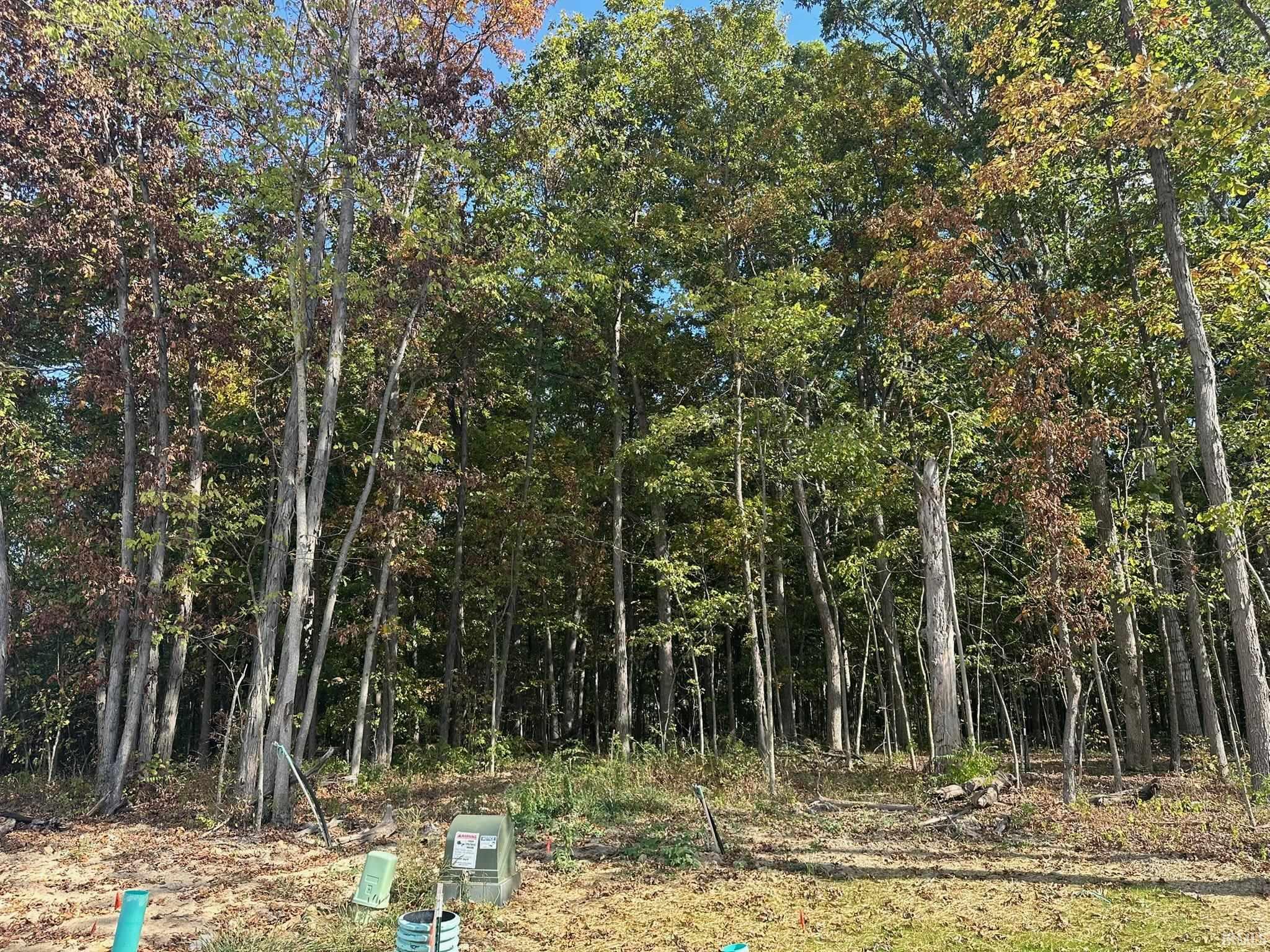 View of tree filled area