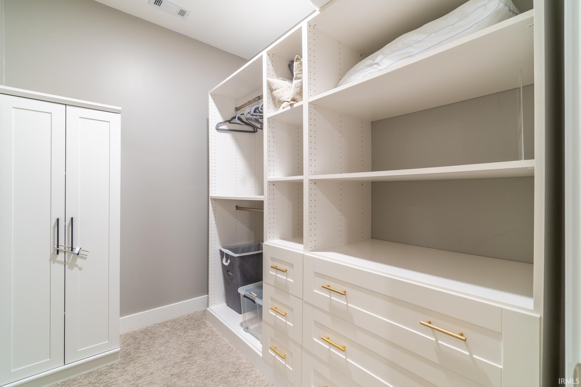 Walk in closet with light colored carpet