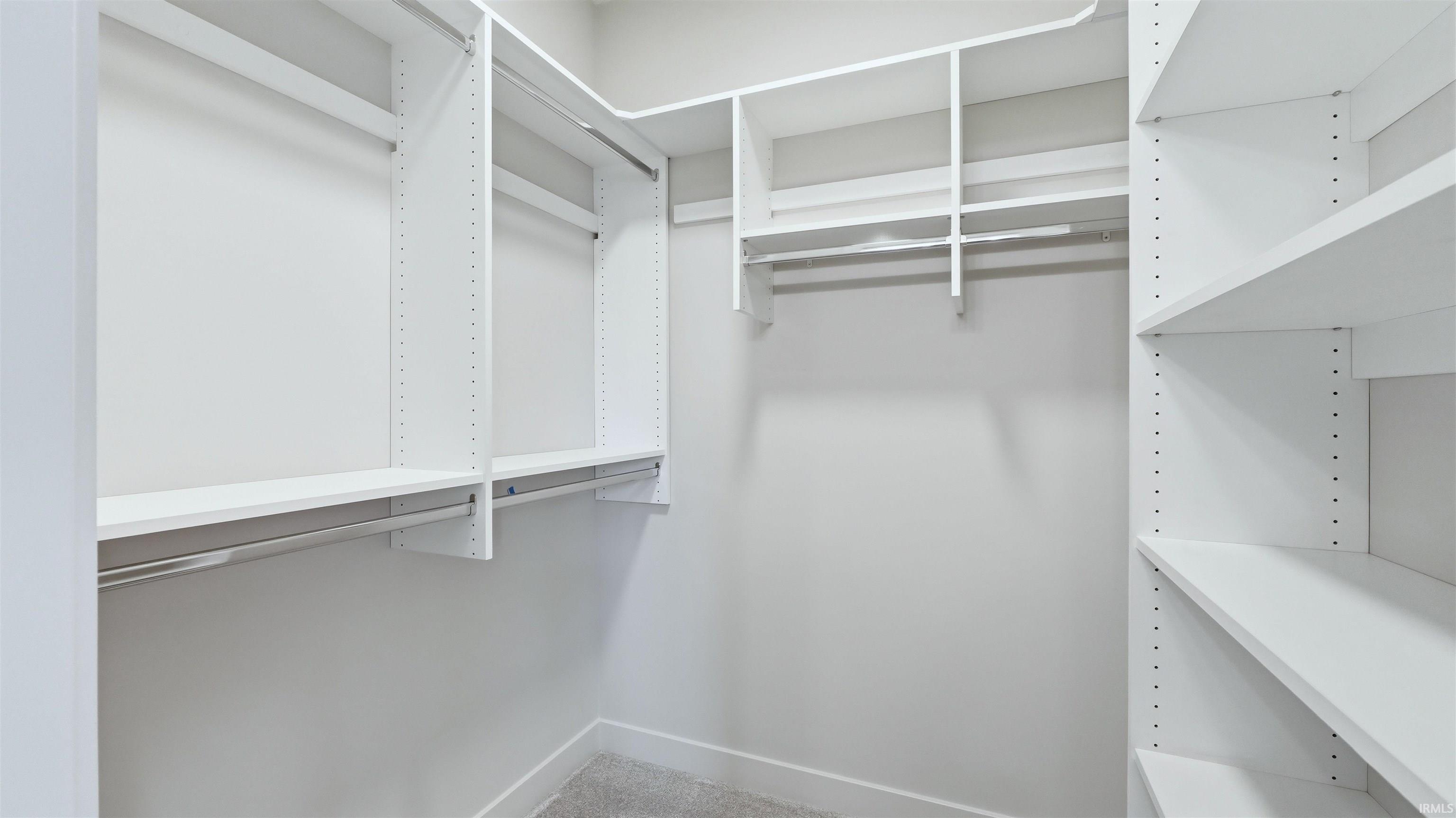 Walk in closet featuring carpet flooring