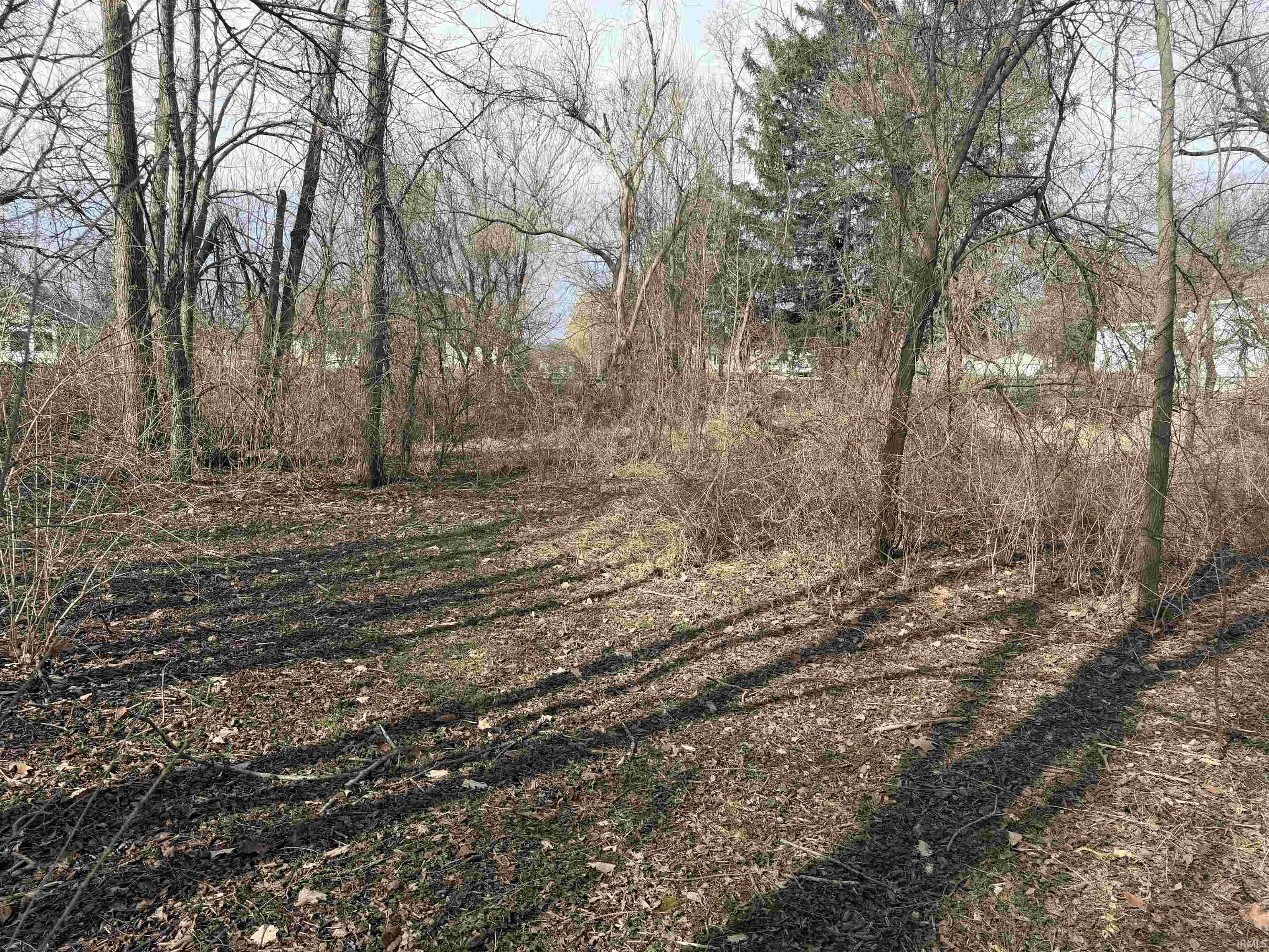 View of undeveloped land