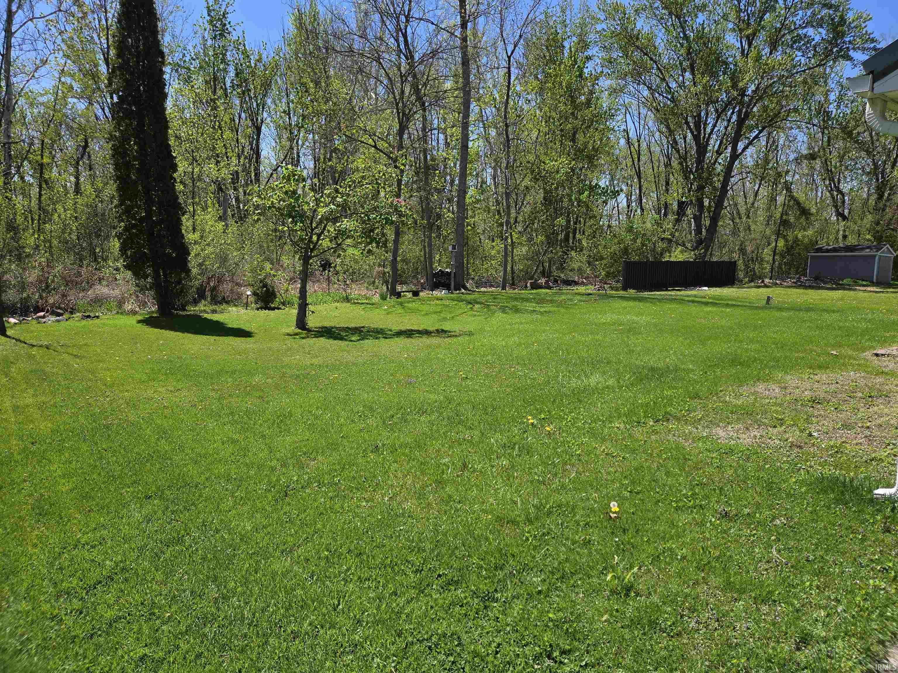 Expansive green lawn with mature trees and a privacy fence bordering the property