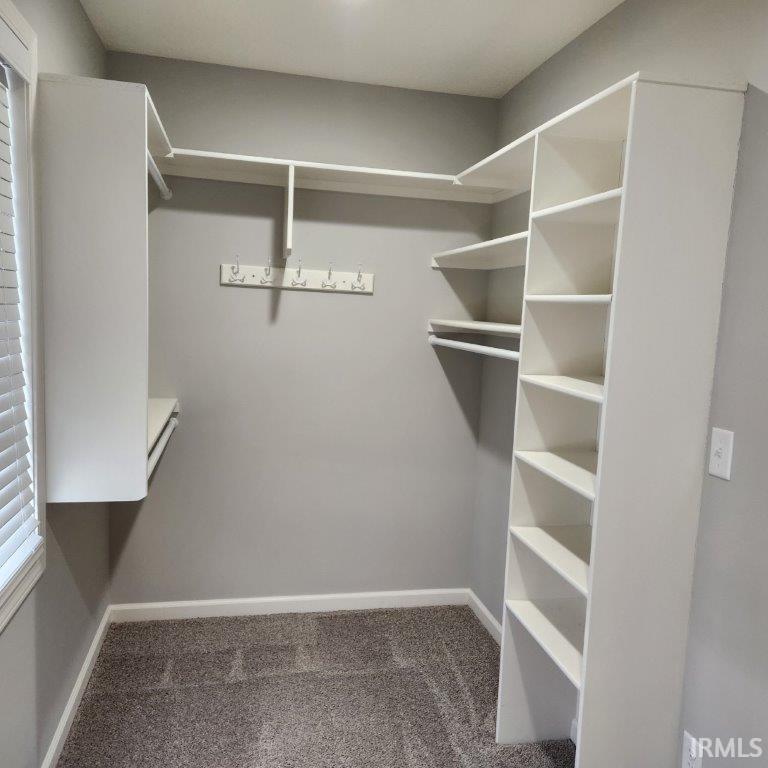 Walk in closet featuring dark colored carpet