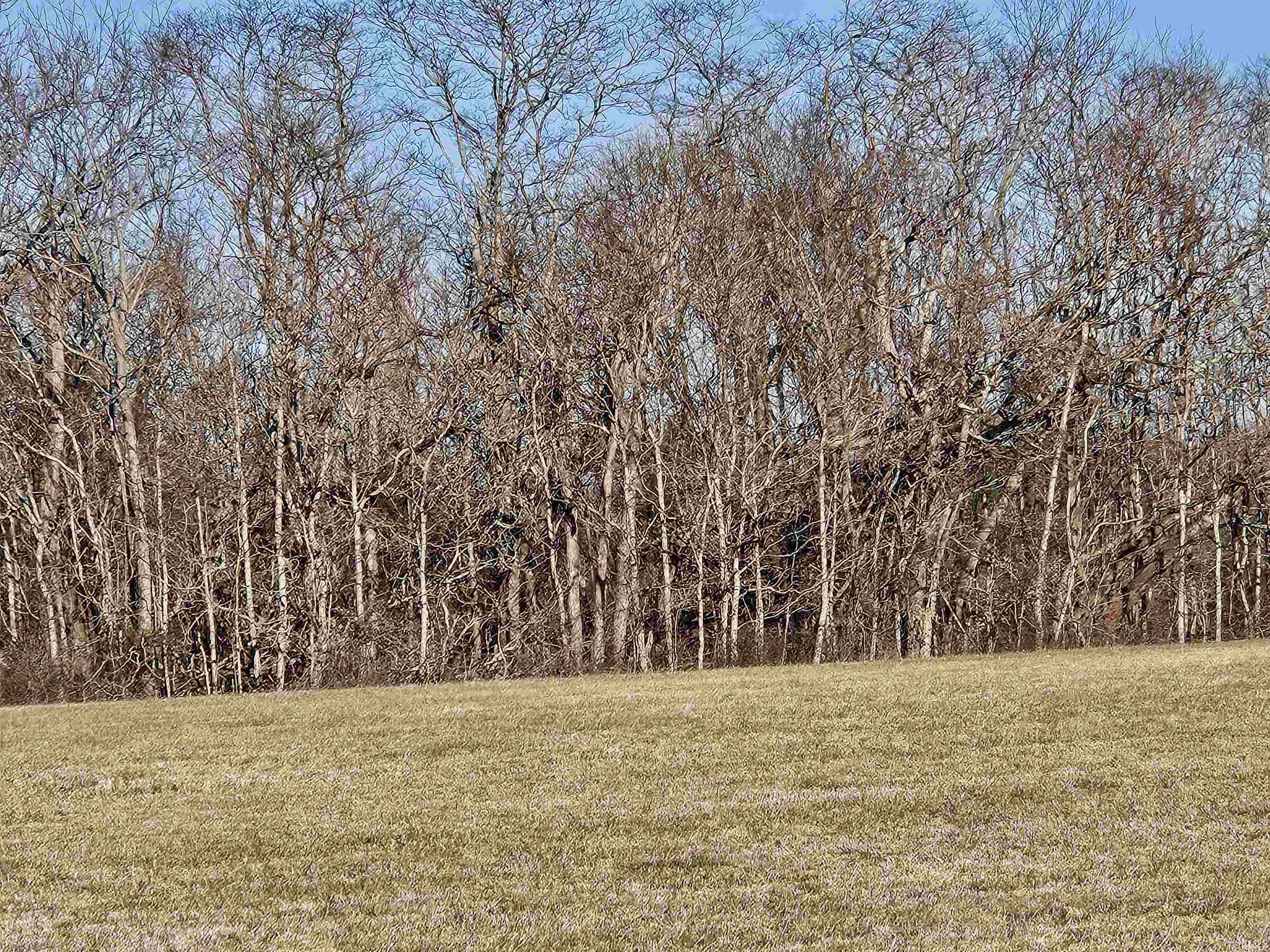 Listing 67