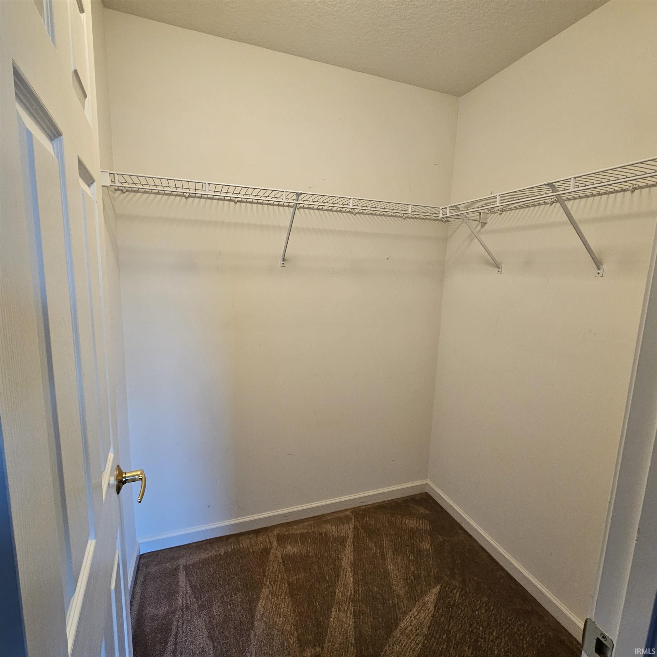 Walk in closet with dark colored carpet