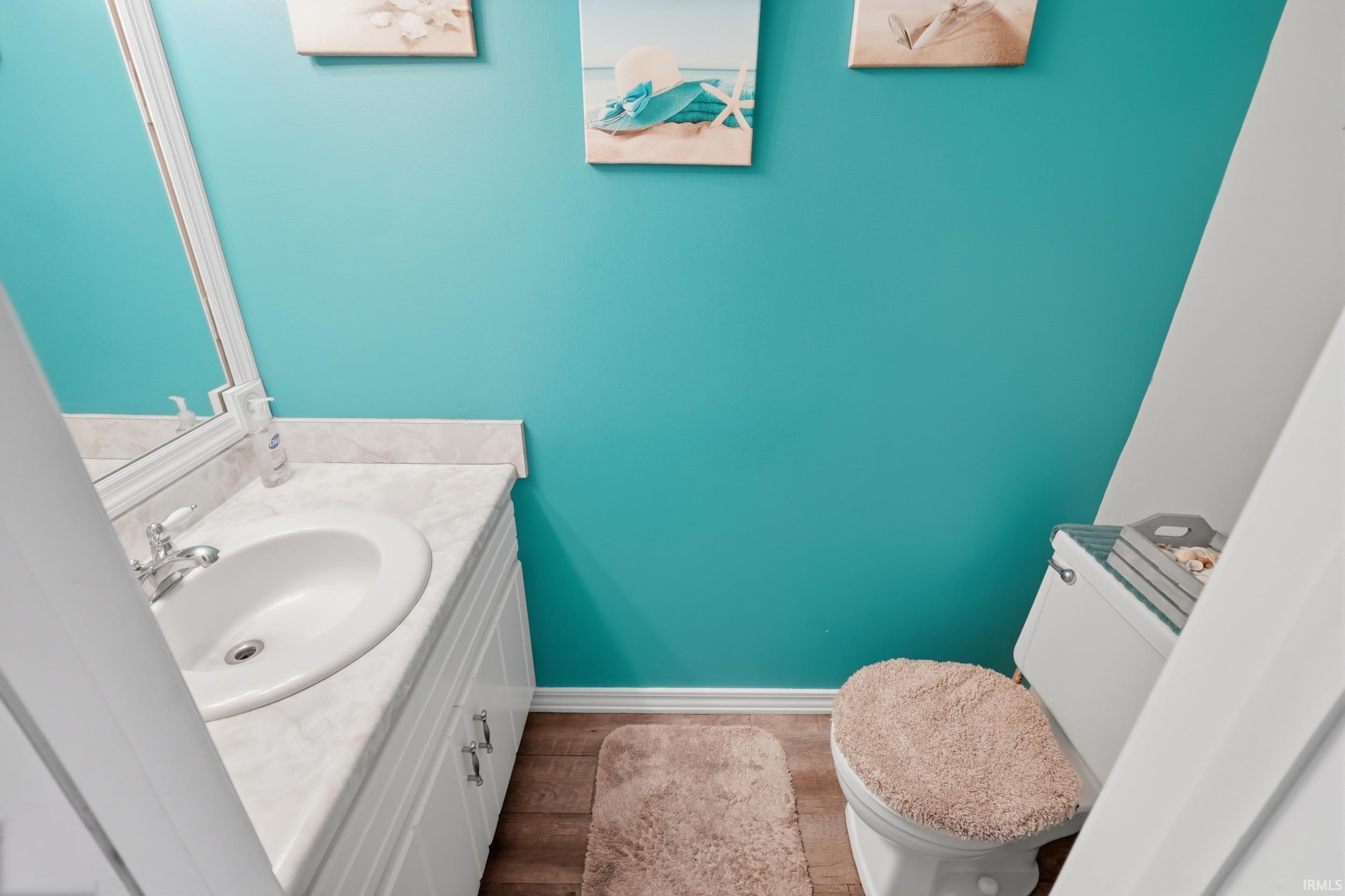 Bathroom featuring vanity and dark wood-style flooring
