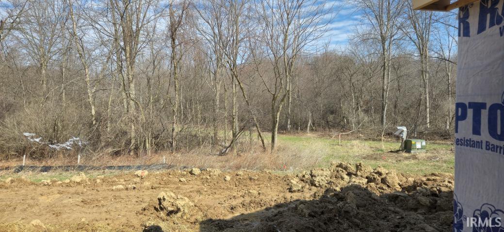 View of local wilderness