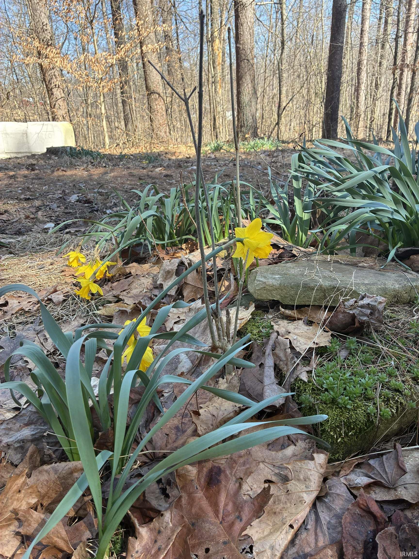 Homes for sale in Solsberry, IN | 4687 N Pine Dr, Solsberry, IN 47459 | MLS# 202609463