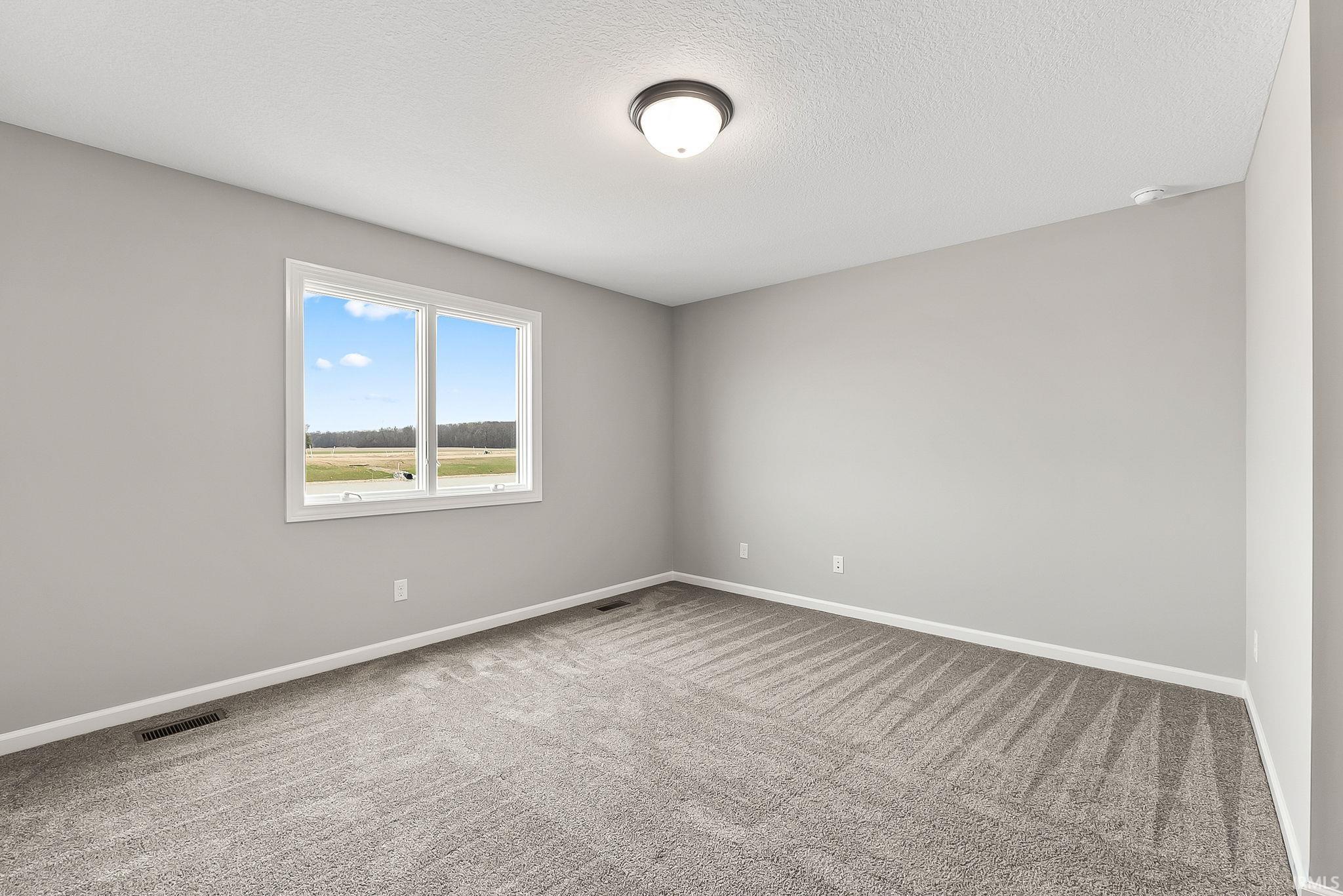 Spare room with light colored carpet and a textured ceiling