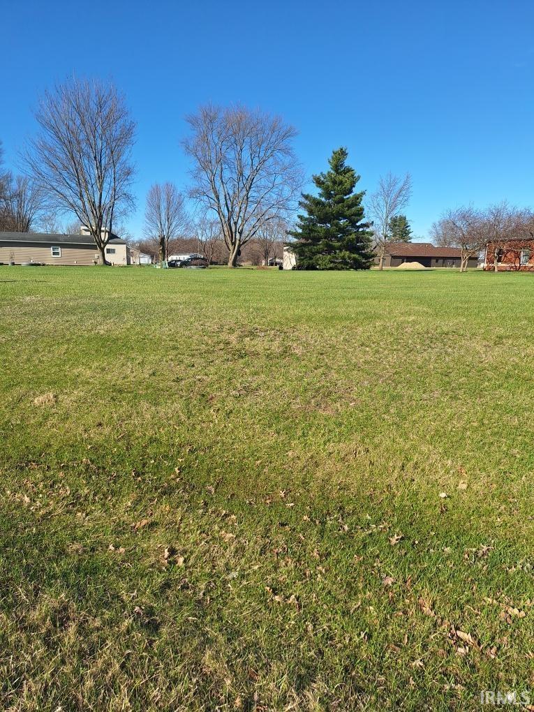 View of green lawn