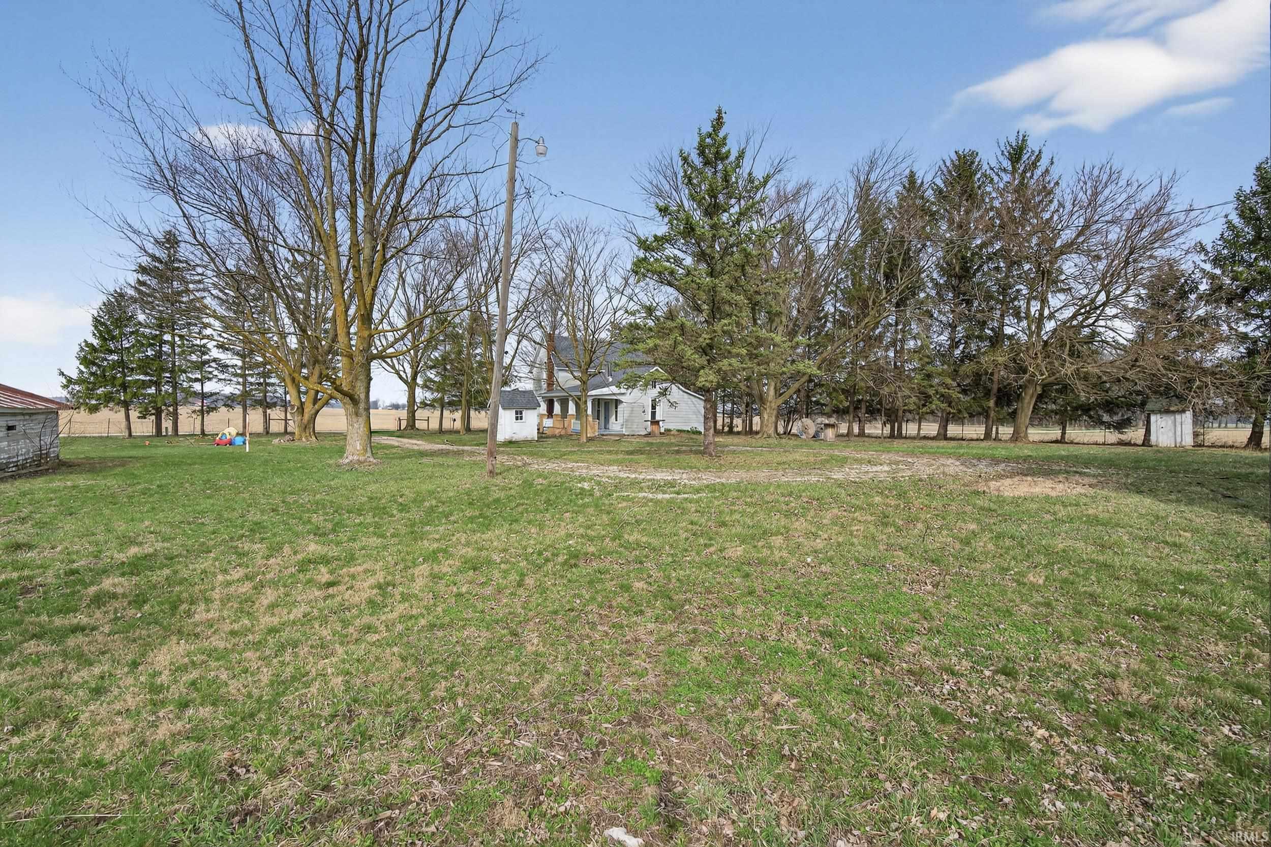 View of grassy yard