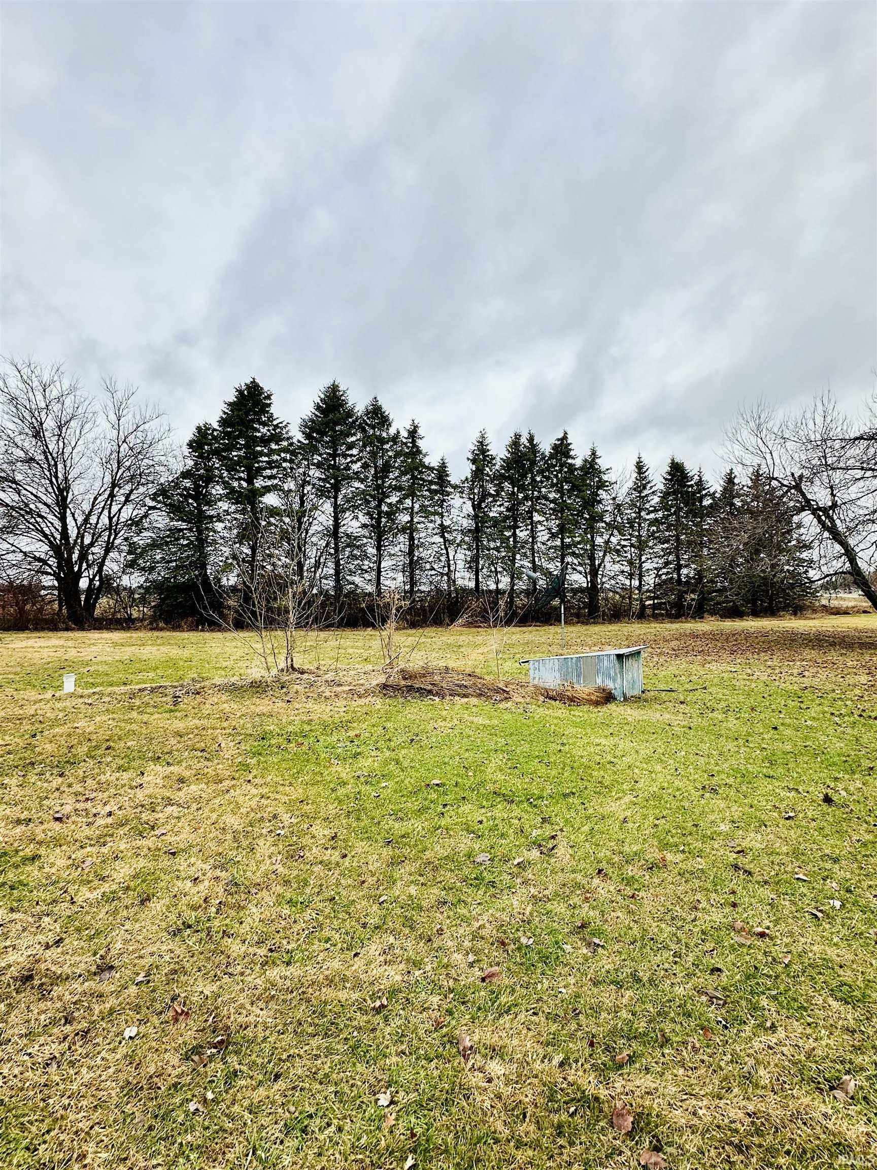 View of grassy yard