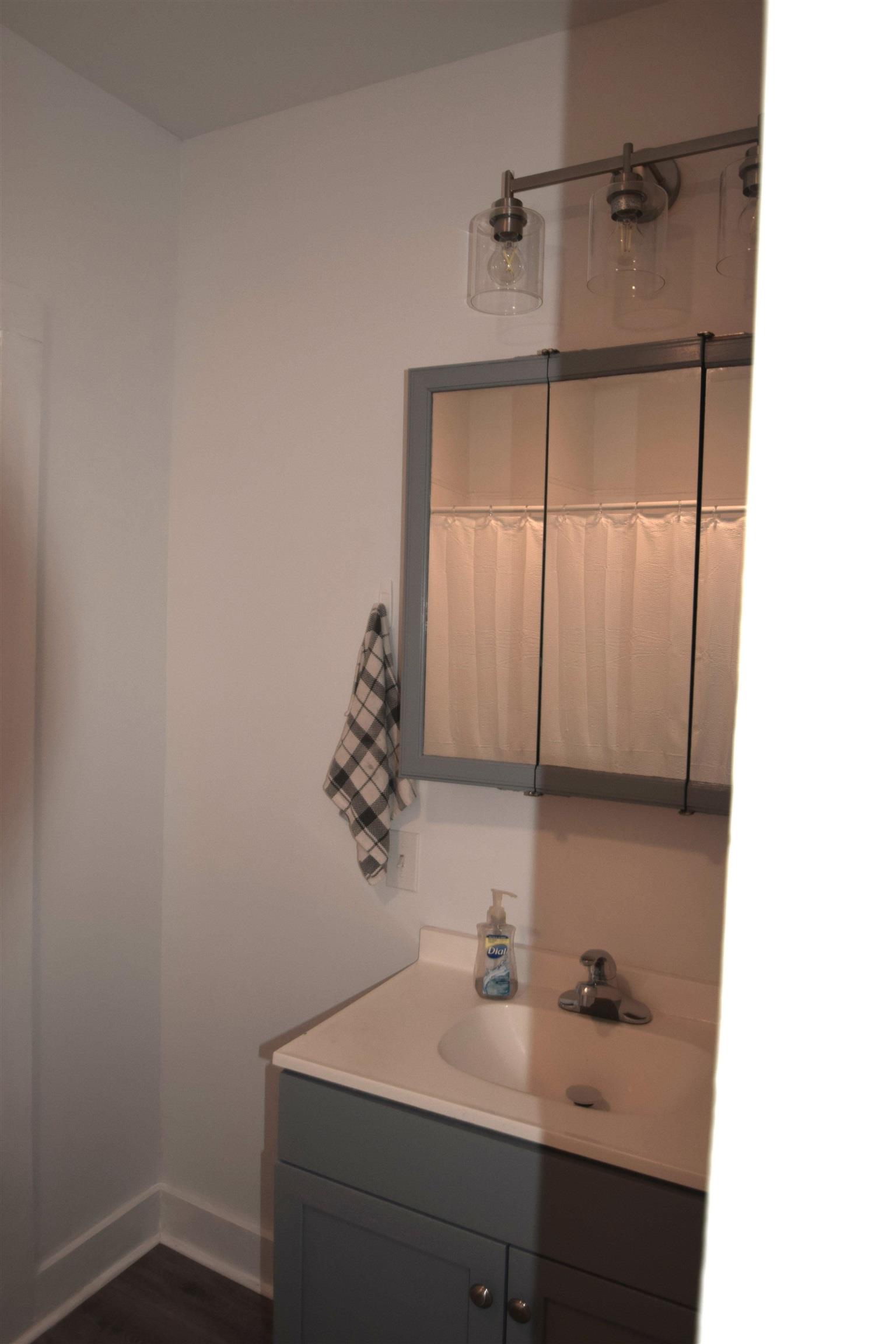 Bathroom with vanity and dark wood finished floors