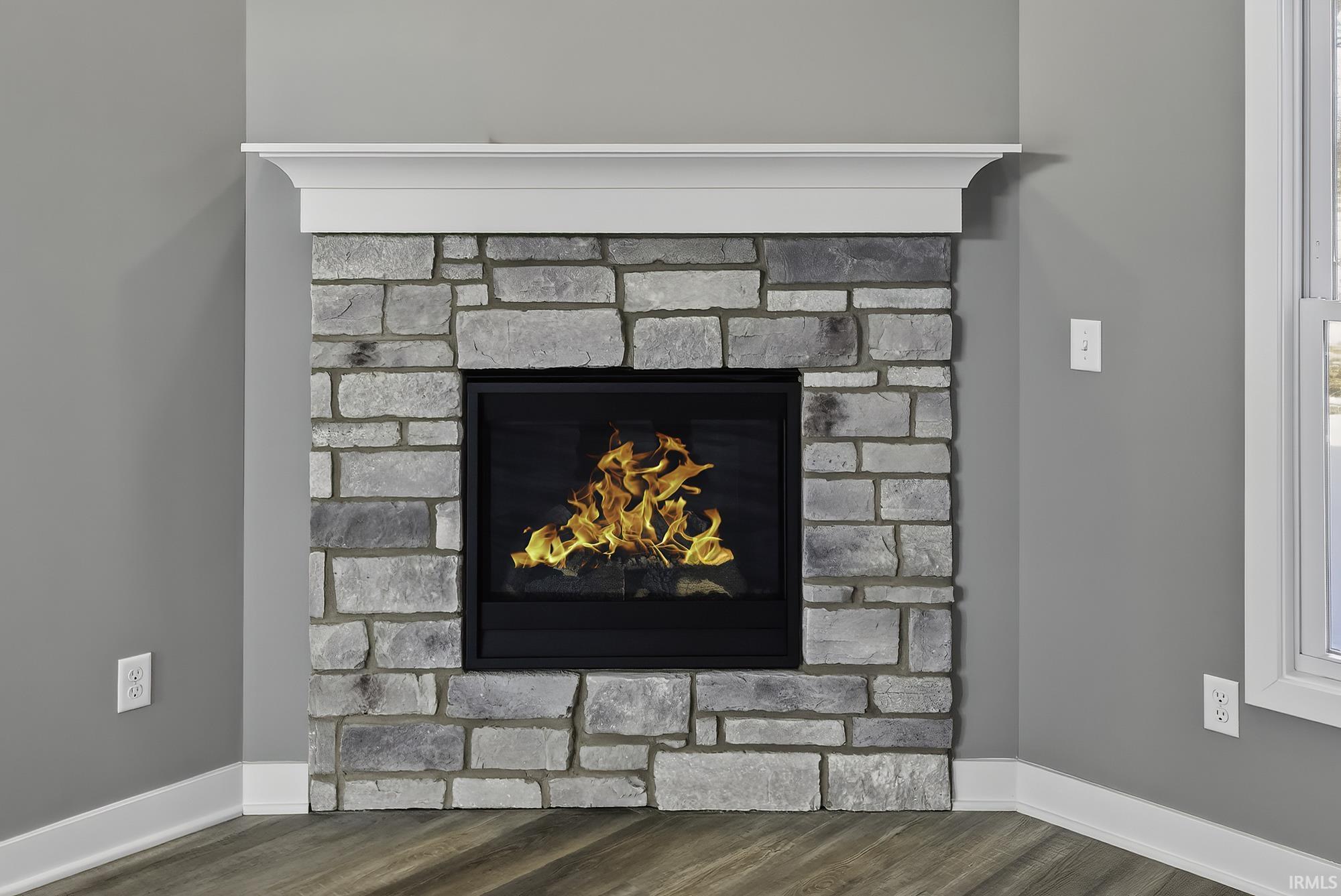 Detailed view of a glass covered fireplace and wood finished floors