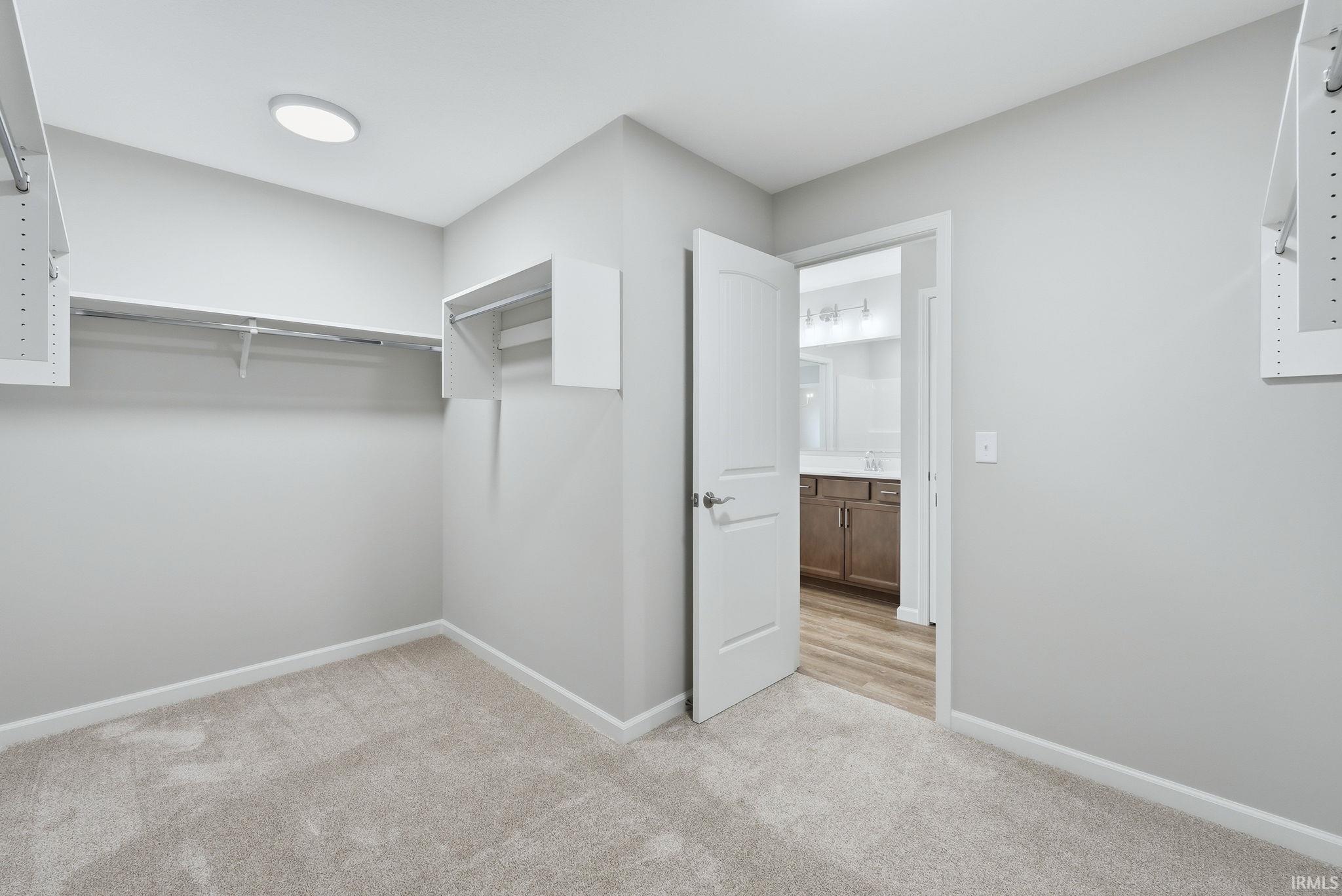 Walk in closet with light colored carpet
