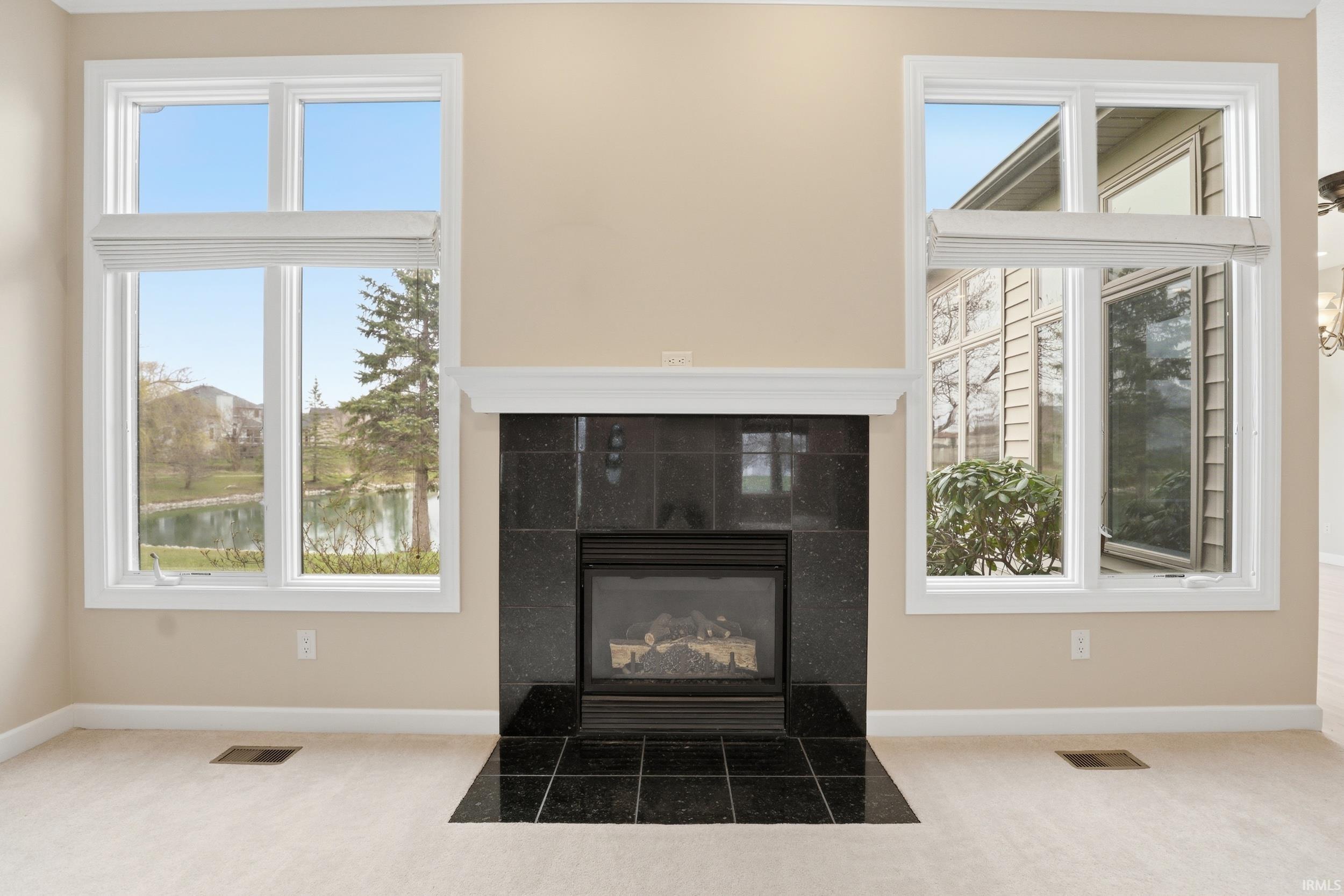 Detailed view of carpet floors, a fireplace, and nearby water