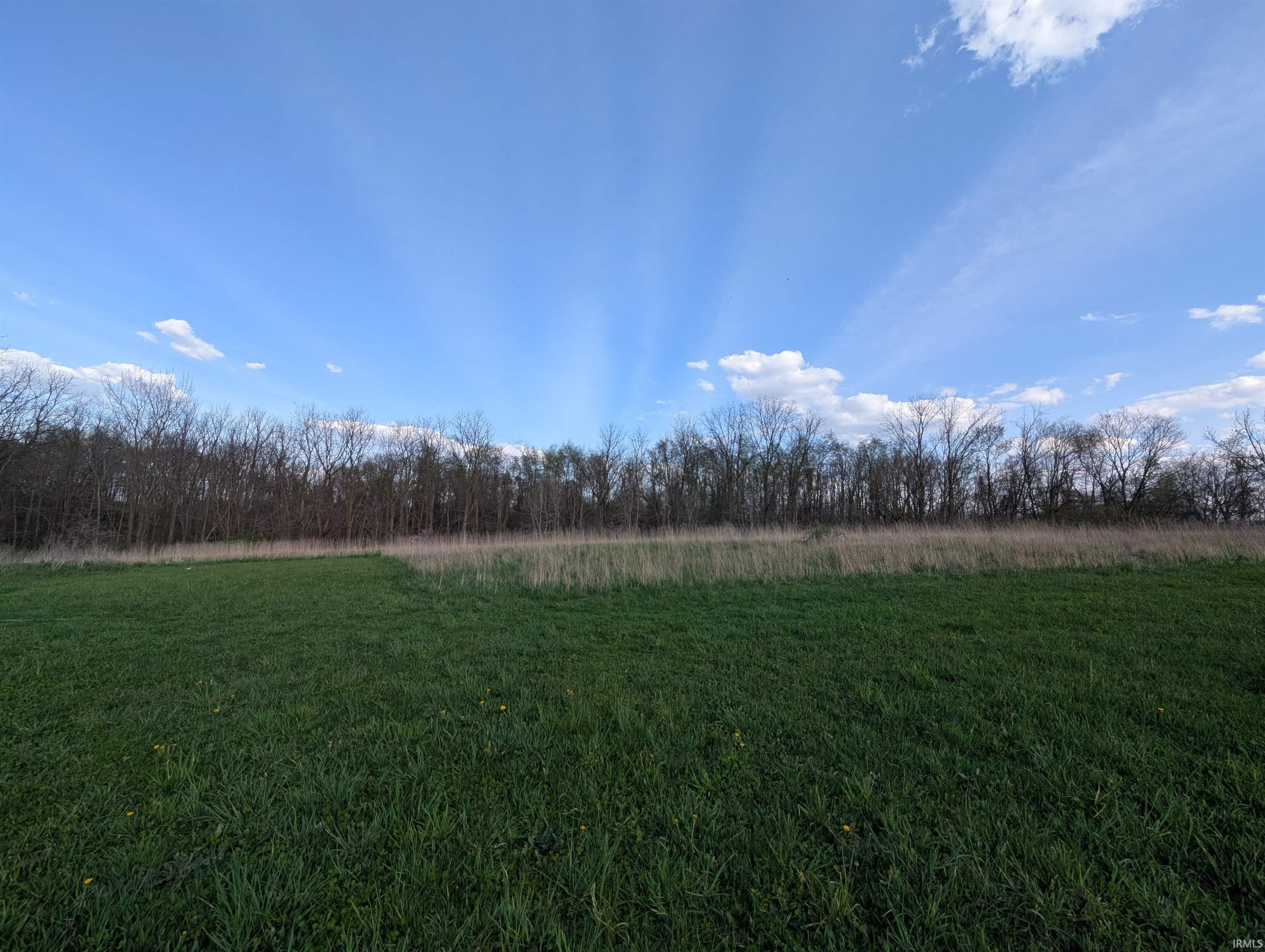 View of local wilderness