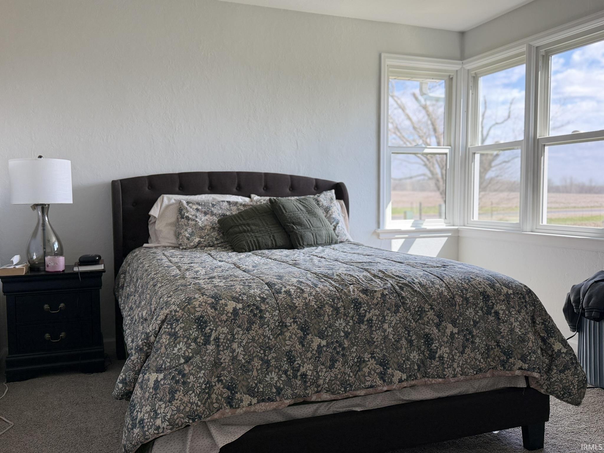 Bedroom featuring carpet floors