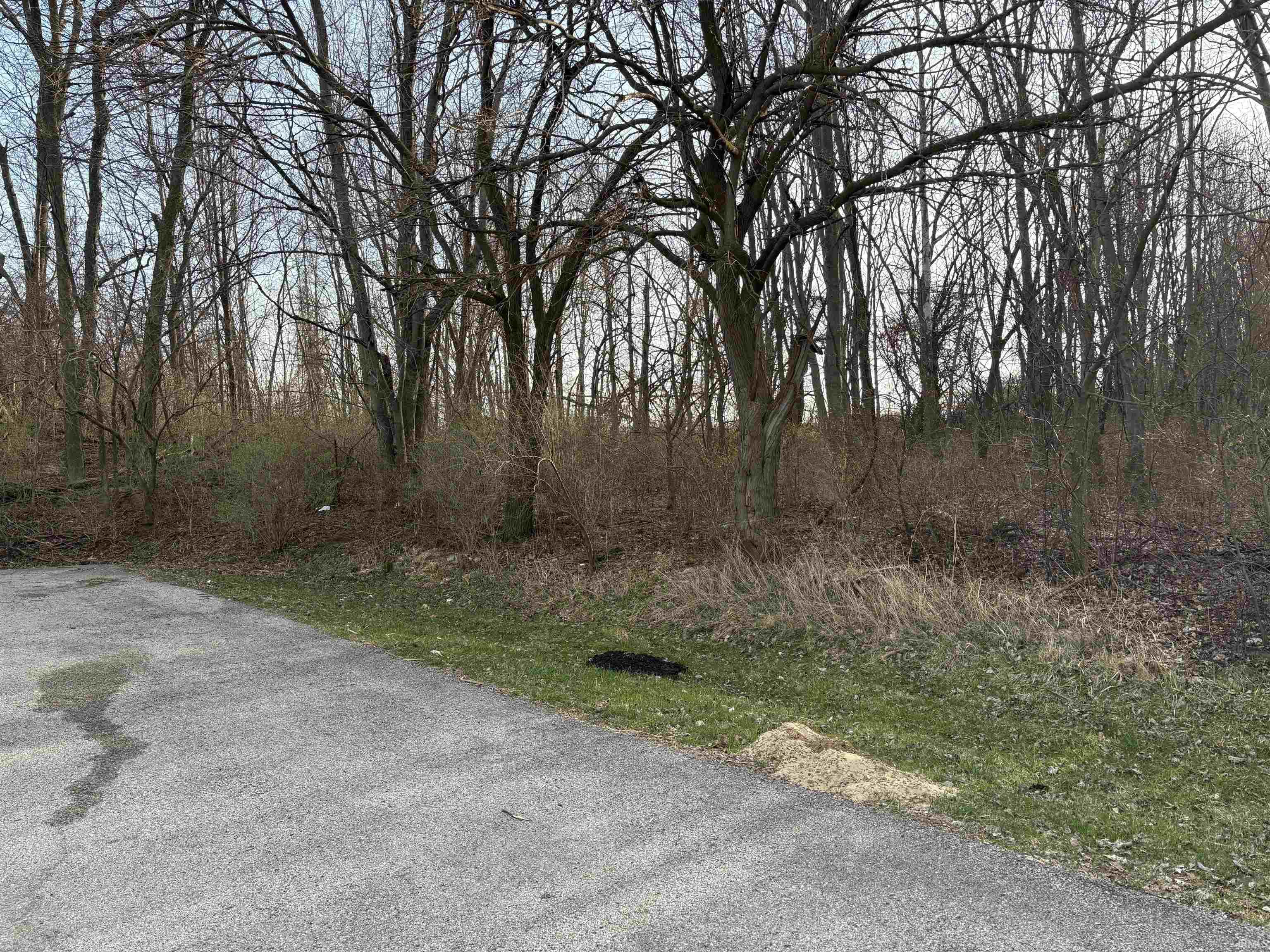 View of asphalt road