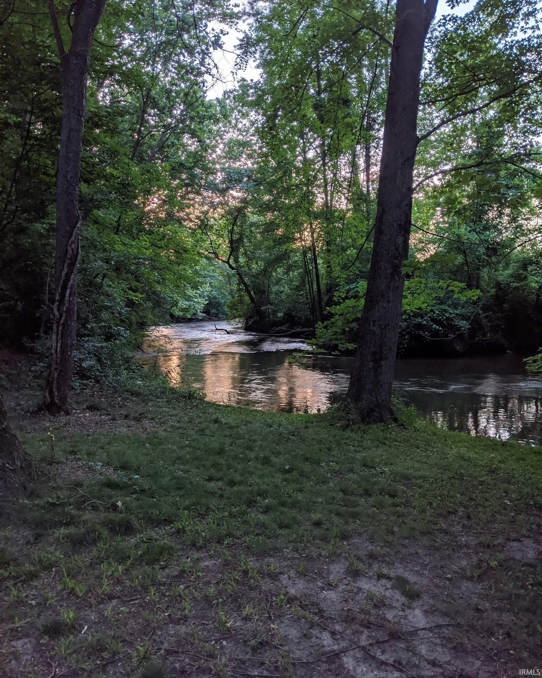 View of yard with a water view and a forest view