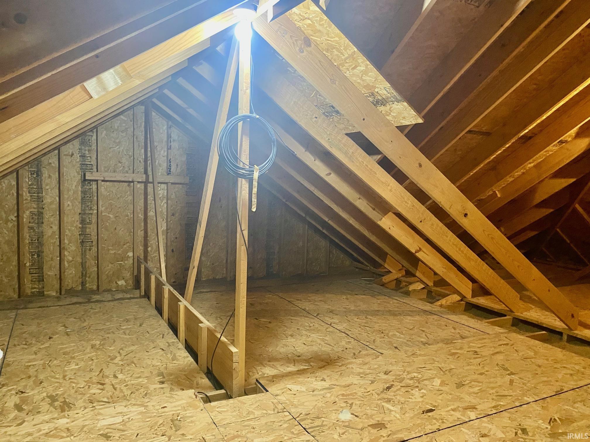 View of unfinished attic