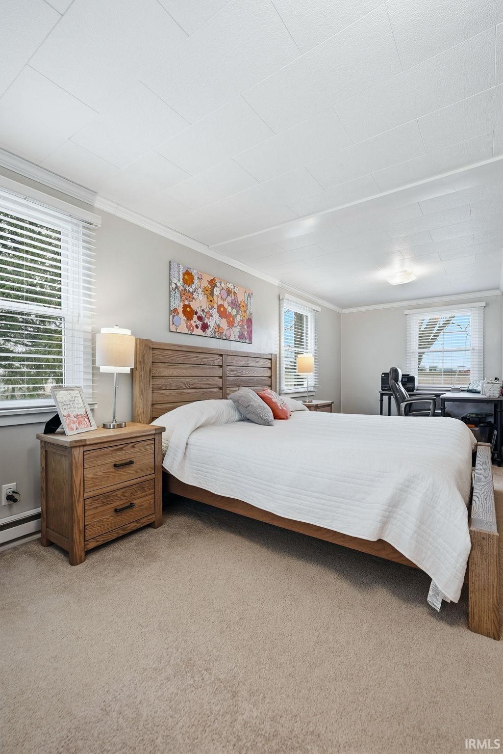 Bedroom featuring carpet, ornamental molding, and baseboard heating