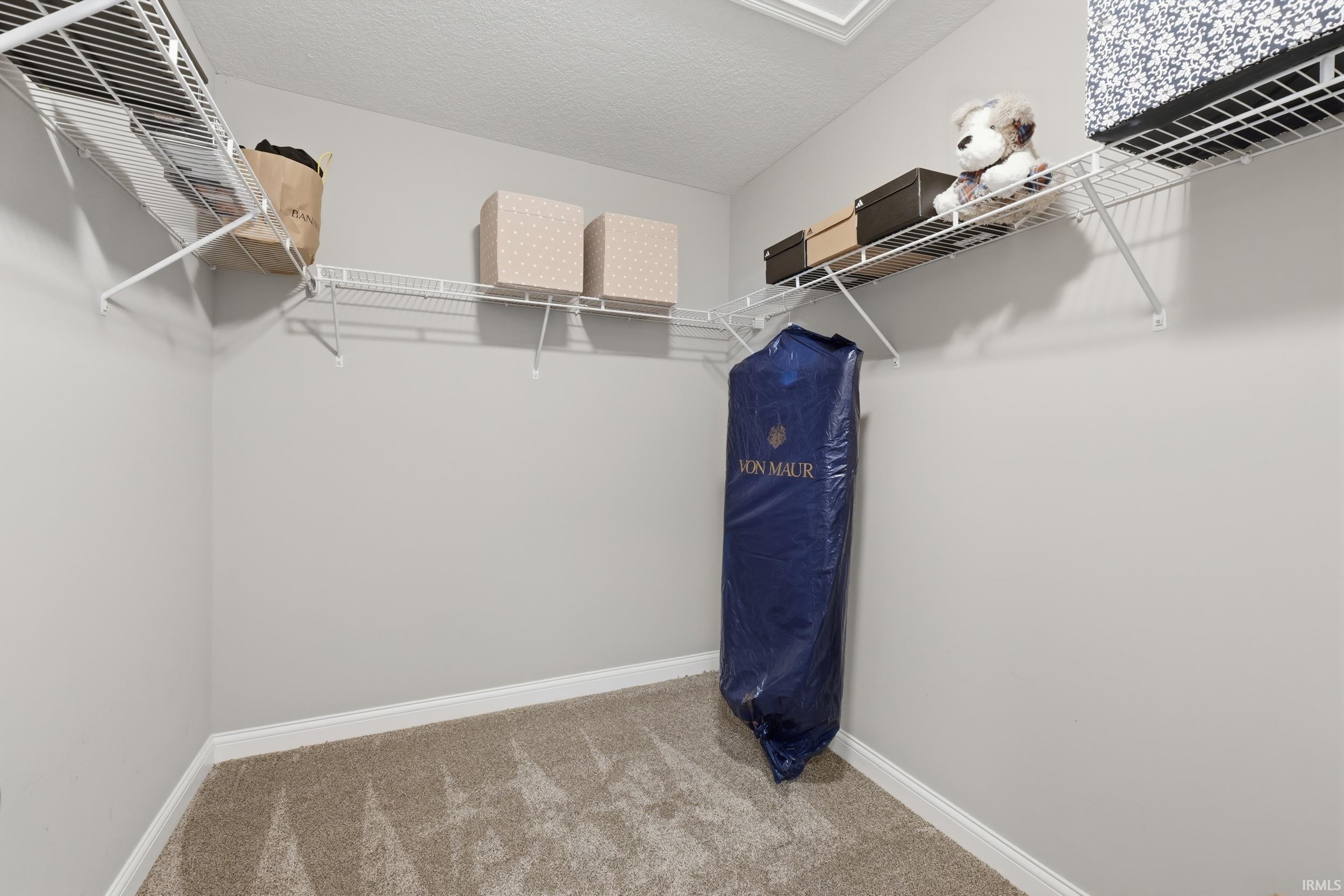 Walk in closet featuring light carpet