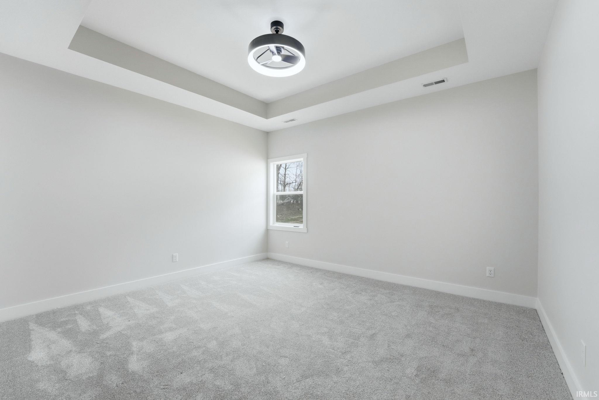 Unfurnished room featuring a raised ceiling, light colored carpet, and a ceiling fan