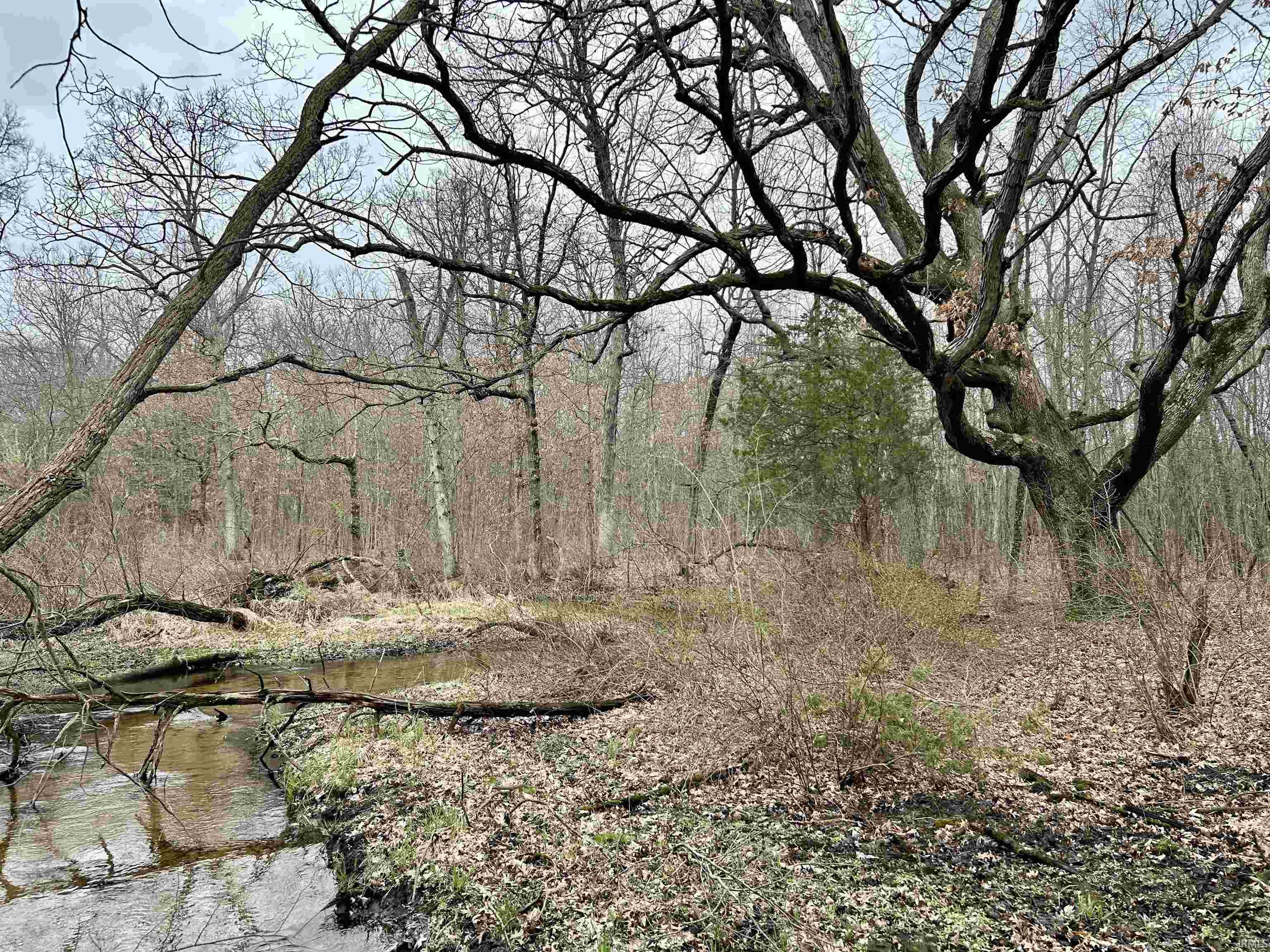 Photo 10 of VL County Road 10