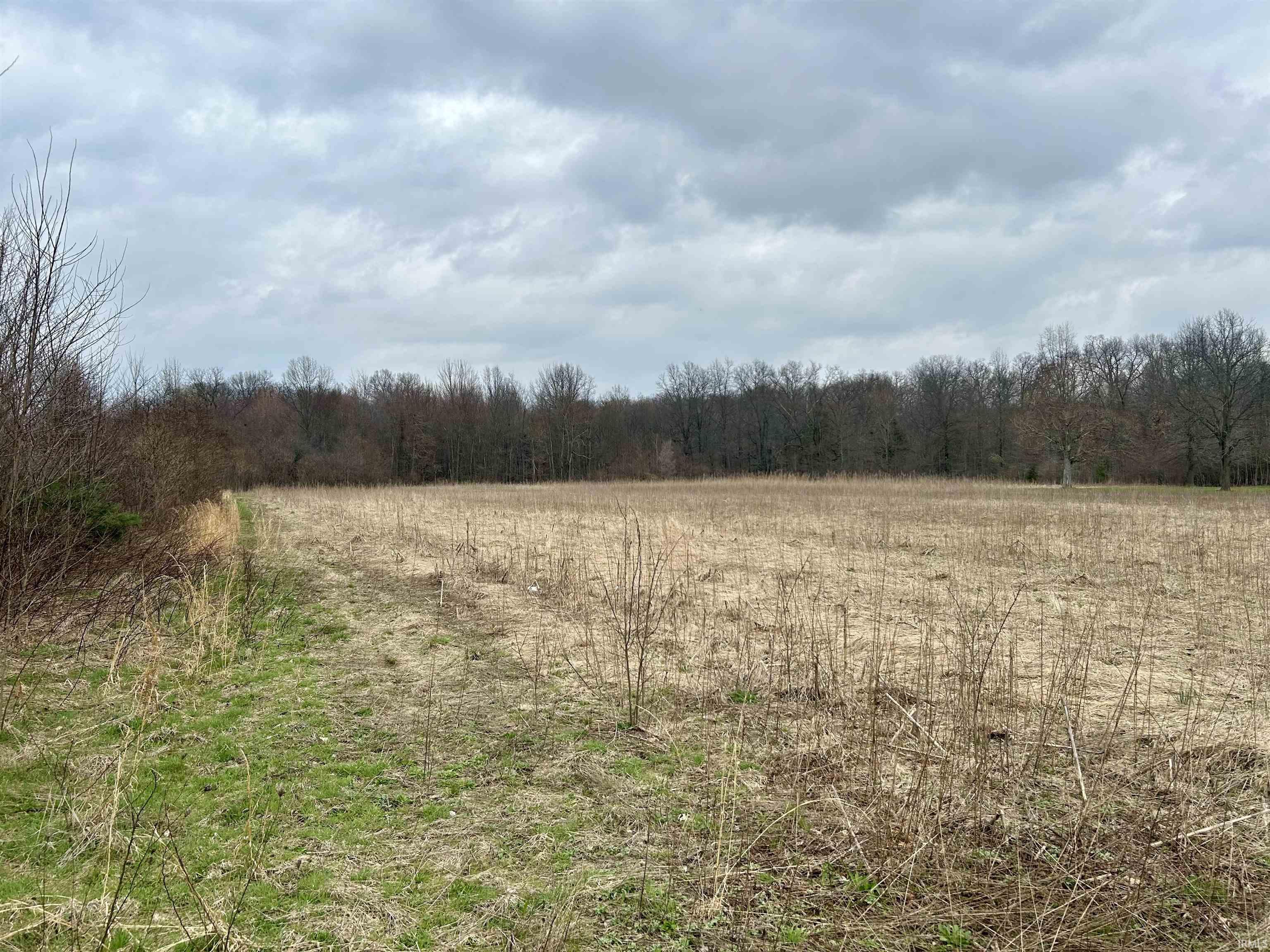 Photo 14 of VL County Road 10